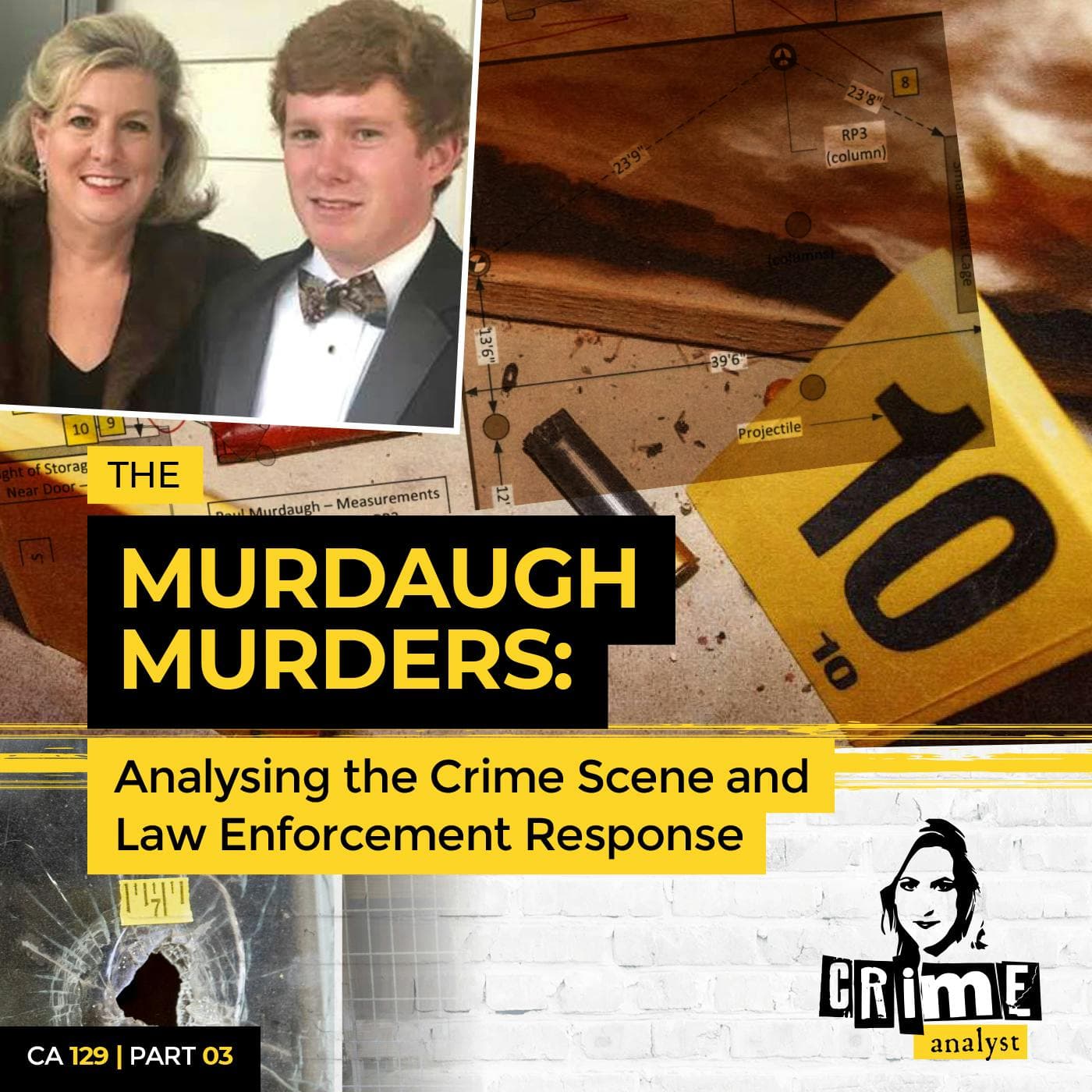 Ep 129: The Murdaugh Murders: Analysing the Crime Scene and Law Enforcement Response, Part 3 artwork