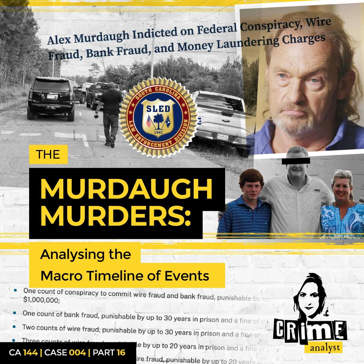Ep 144: The Murdaugh Murders: The Macro Timeline continued Part 16 artwork