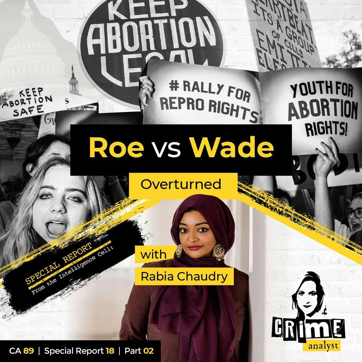 Ep 89: Roe vs Wade Overturned with Rabia Chaudry, Part 2 artwork
