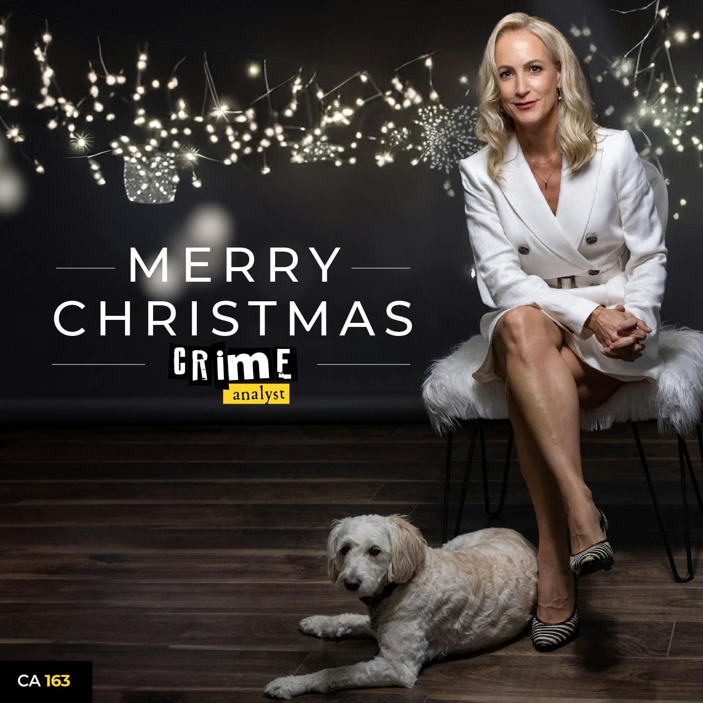 Ep 163: A Special Christmas Message artwork