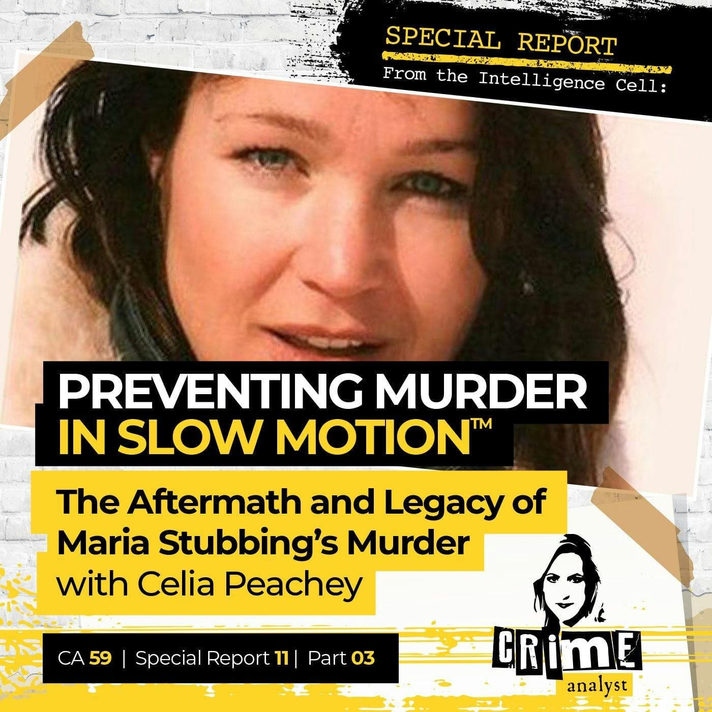 Ep 59: Preventing Murder in Slow Motion™: The Aftermath and Legacy of Maria Stubbing’s Murder with Celia Peachey, Part 3 artwork