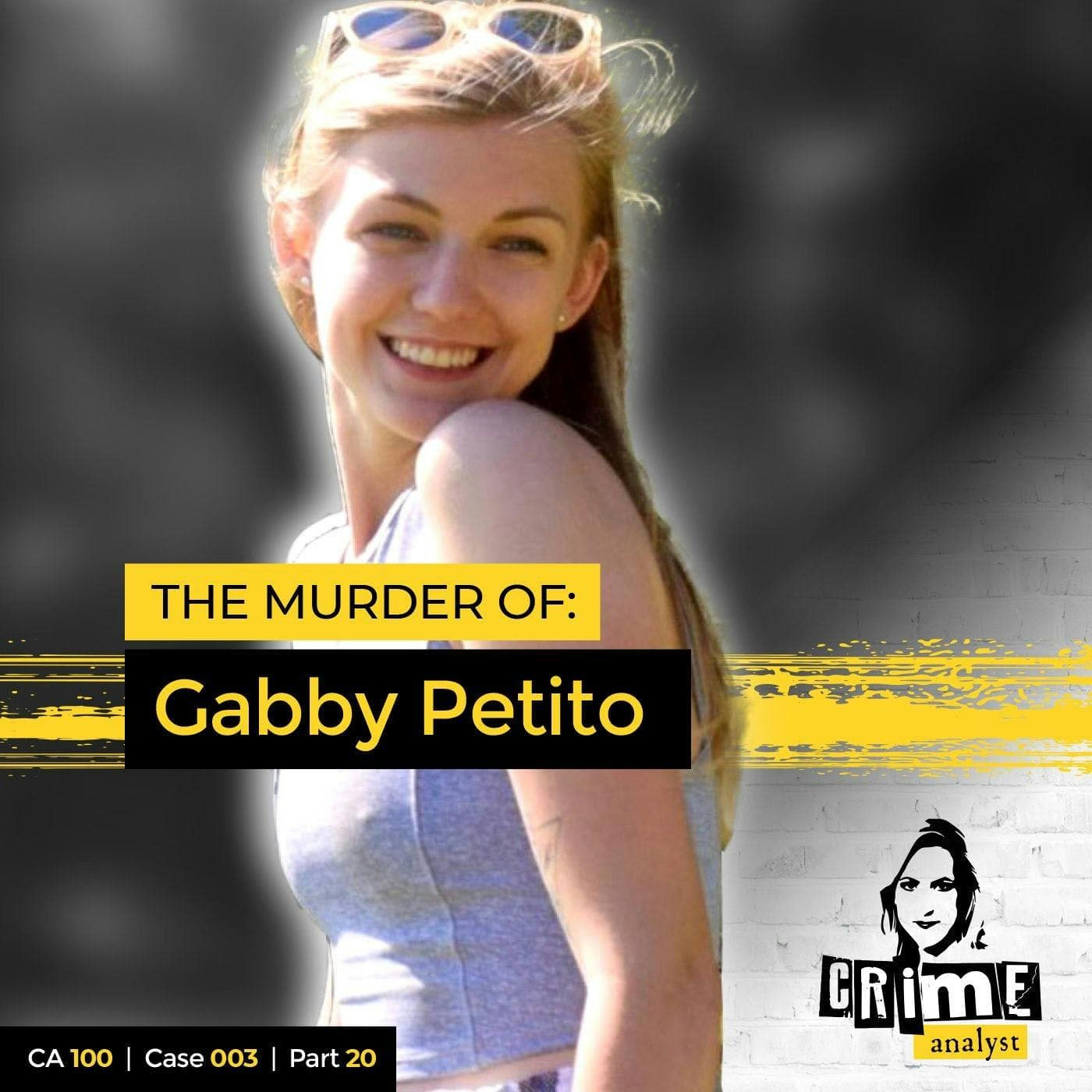 Ep 100: The Murder of Gabby Petito, Part 20 artwork