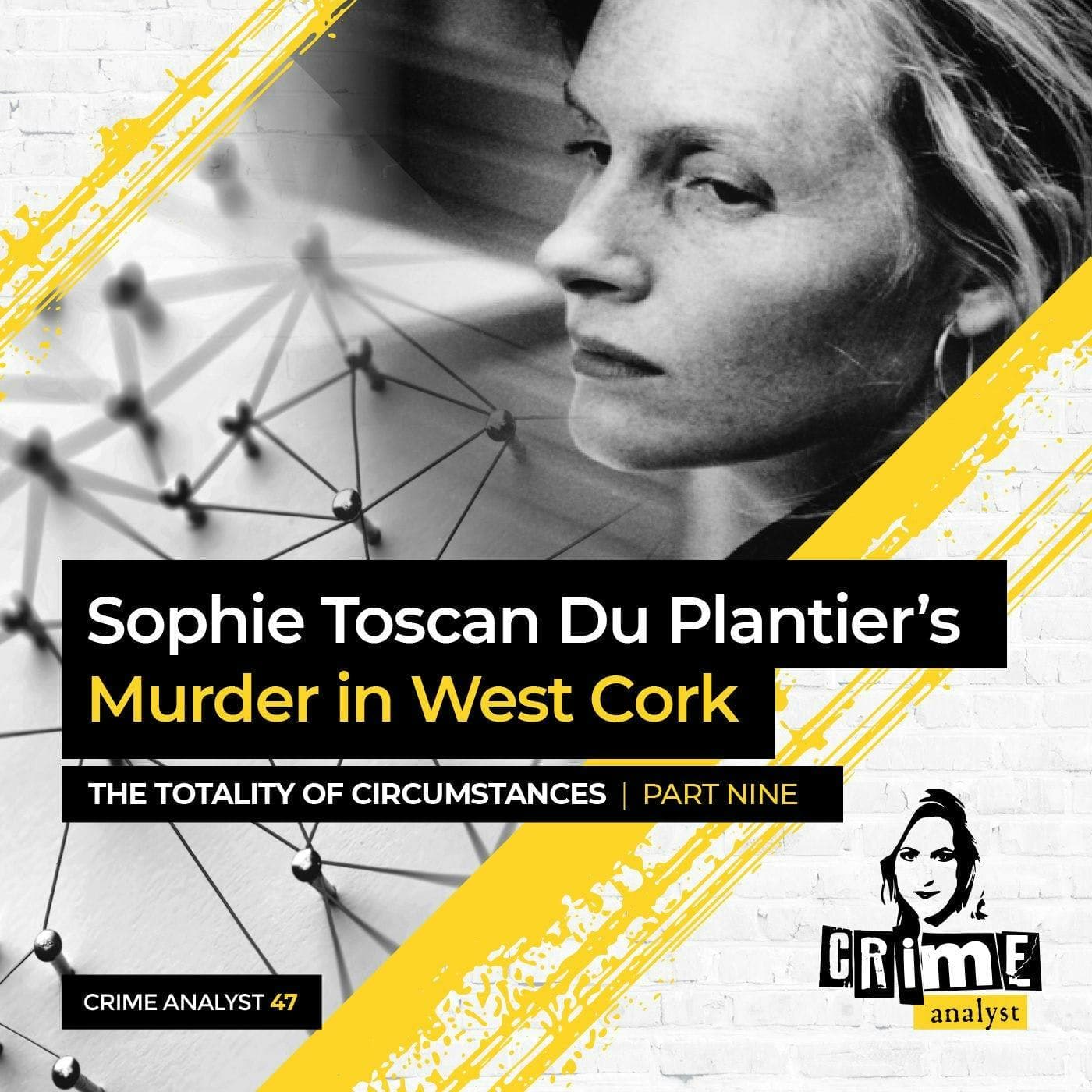 Ep 47: Sophie Toscan Du Plantier’s Murder in West Cork: The Totality of Circumstances Ctd. Part 9 artwork