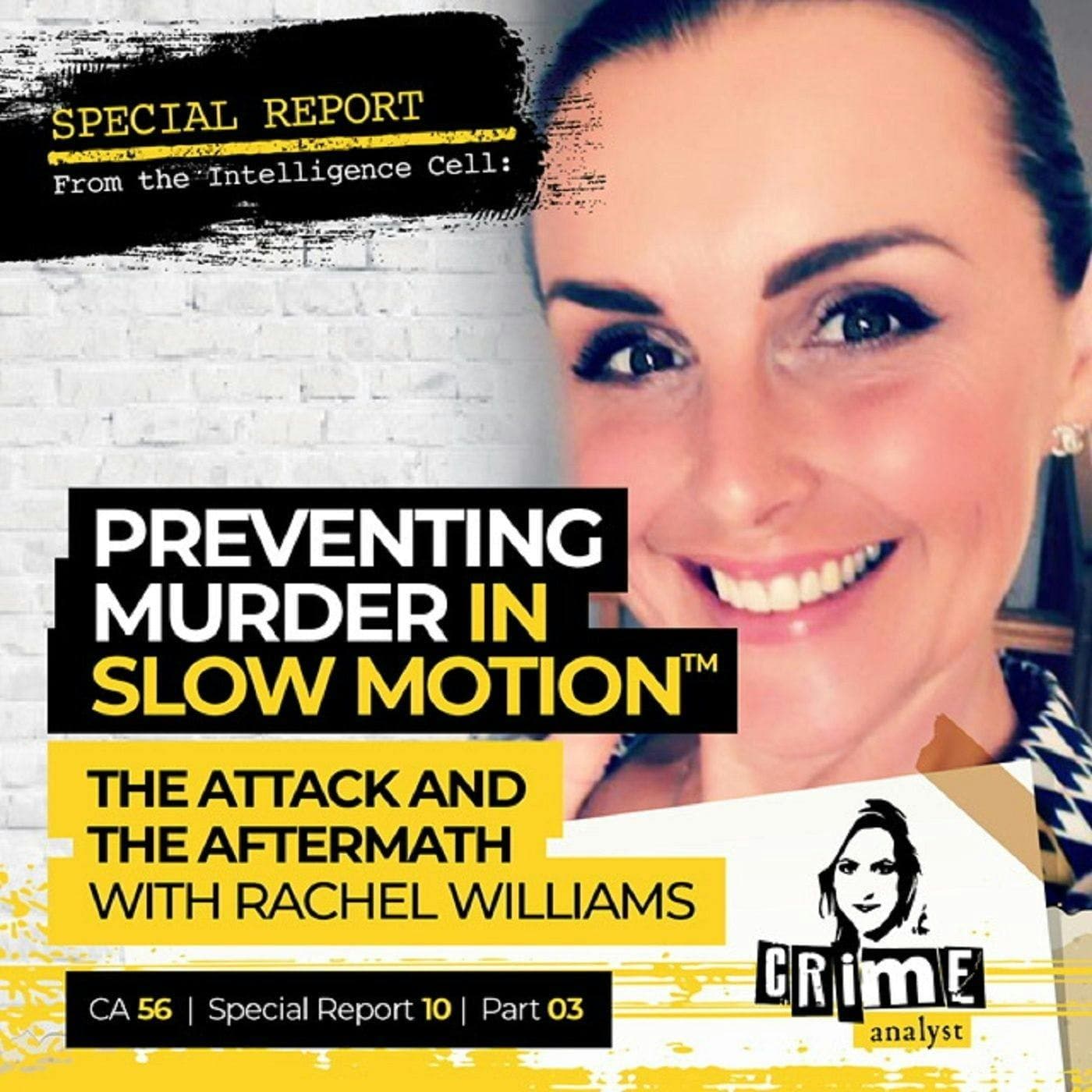 Ep 56: Preventing Murder in Slow Motion™: The Attack and the Aftermath with Rachel Williams, Part 3 artwork
