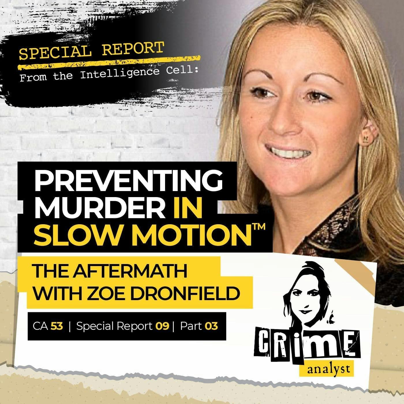 Ep 53: Preventing Murder in Slow Motion™: The Aftermath with Zoe Dronfield, Part 3 artwork