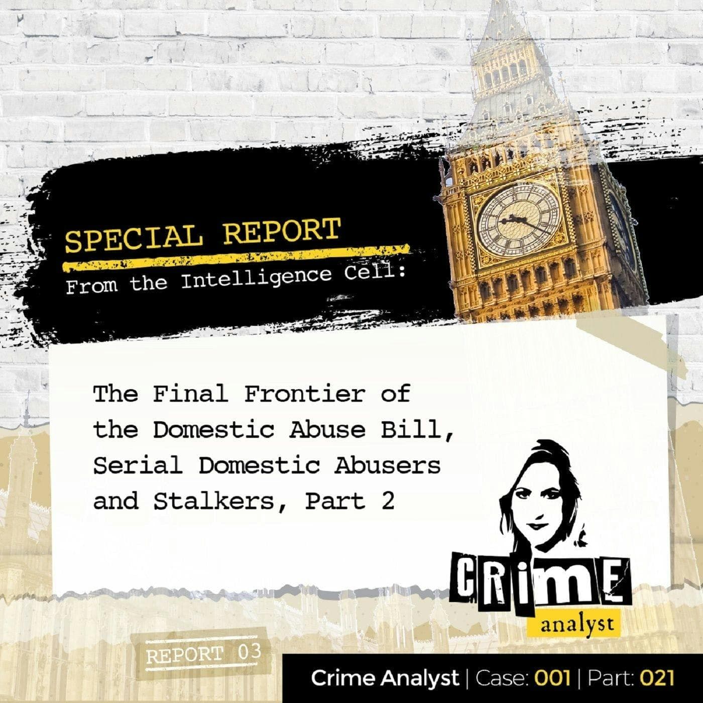 Ep 21: The Final Frontier of the Domestic Abuse Bill, Serial Domestic Abusers and Stalkers, Part 2 artwork