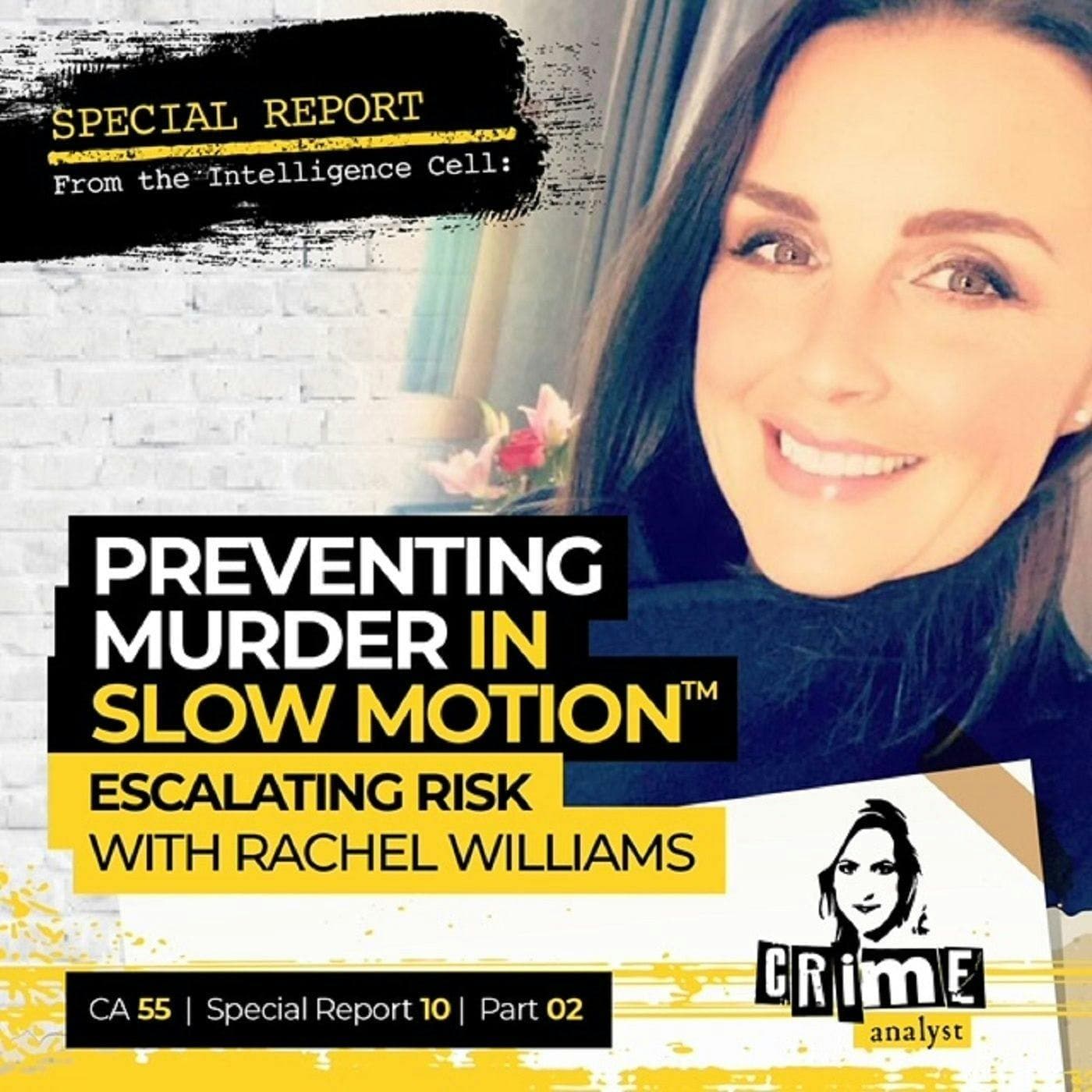 Ep 55: Preventing Murder in Slow Motion™: Escalating Risk with Rachel Williams, Part 2 artwork