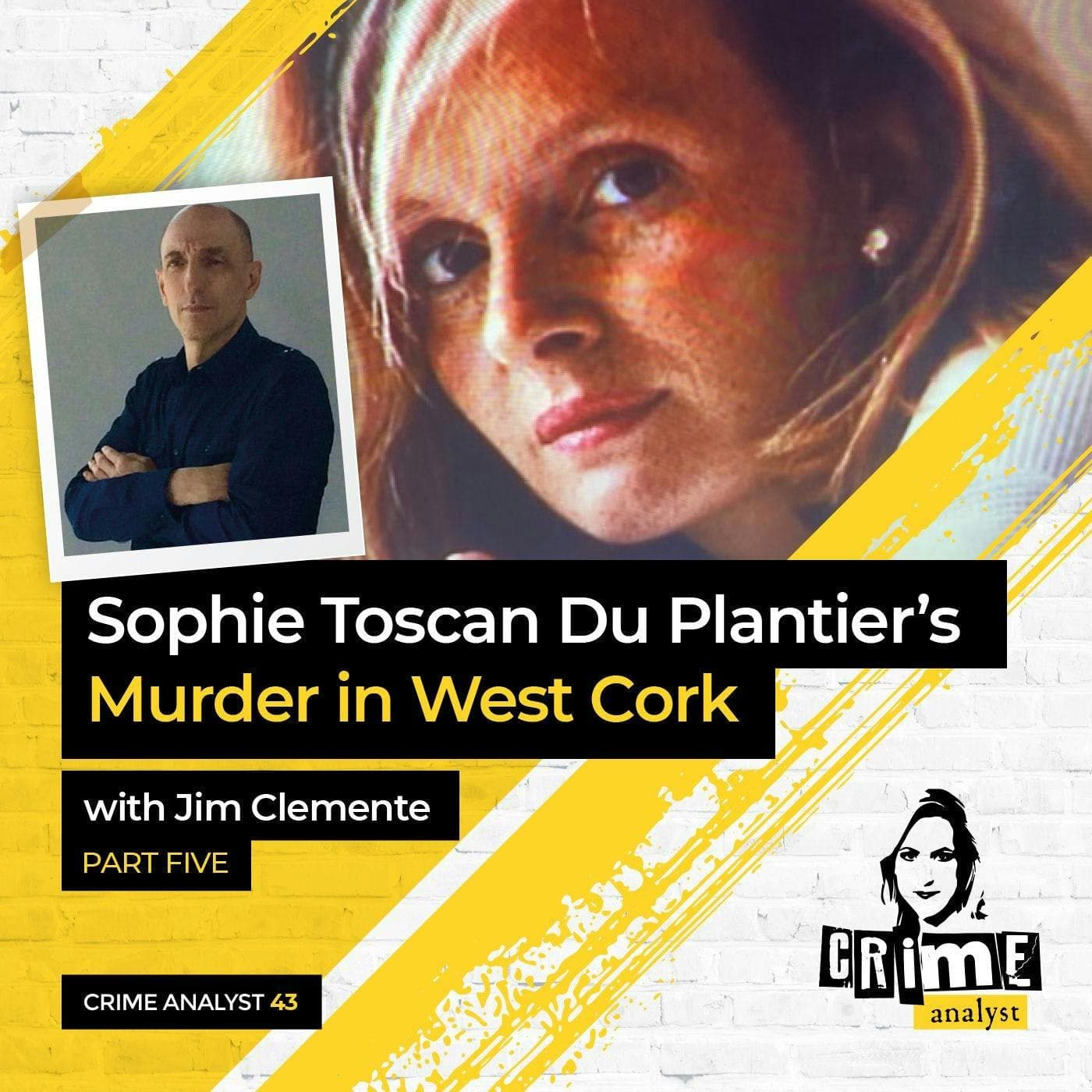 Ep 43: Sophie Toscan Du Plantier’s Murder with Jim Clemente,, Part 5 artwork