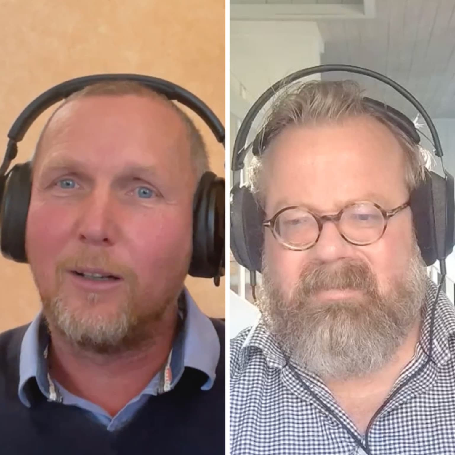 Ness 263 med Eivind Salen – Vindkraften ødelegger Norge, og vi betaler for galskapen artwork