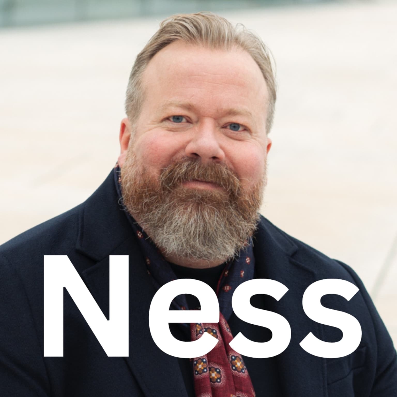 Ness 161 – Høyre-politiker sjokkert over hvor ille ikke-vestlig innvandring er artwork
