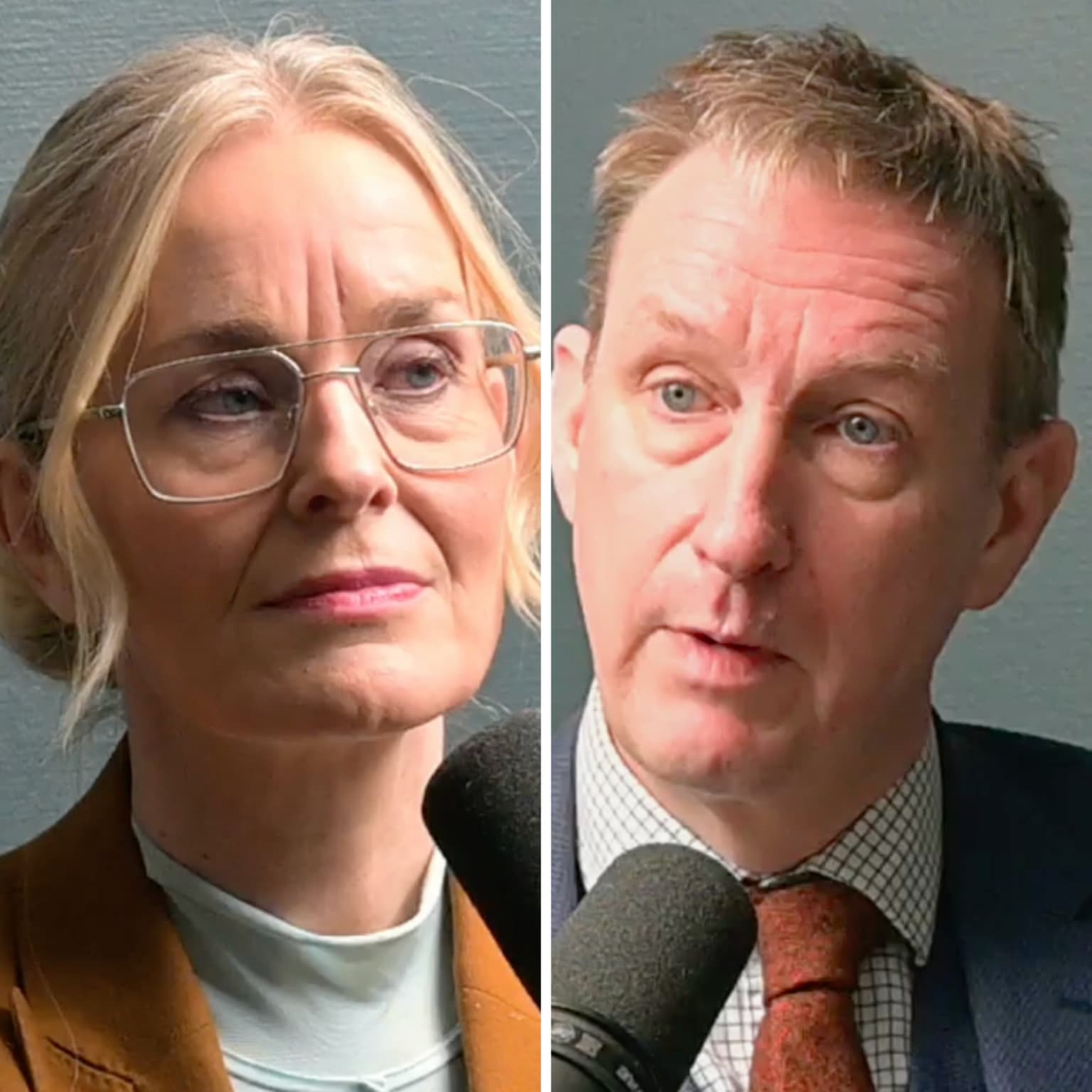 Ness 347 med Asle Toje og Hilde Sandvik – Hva truer Norge, og hva kan redde oss? artwork