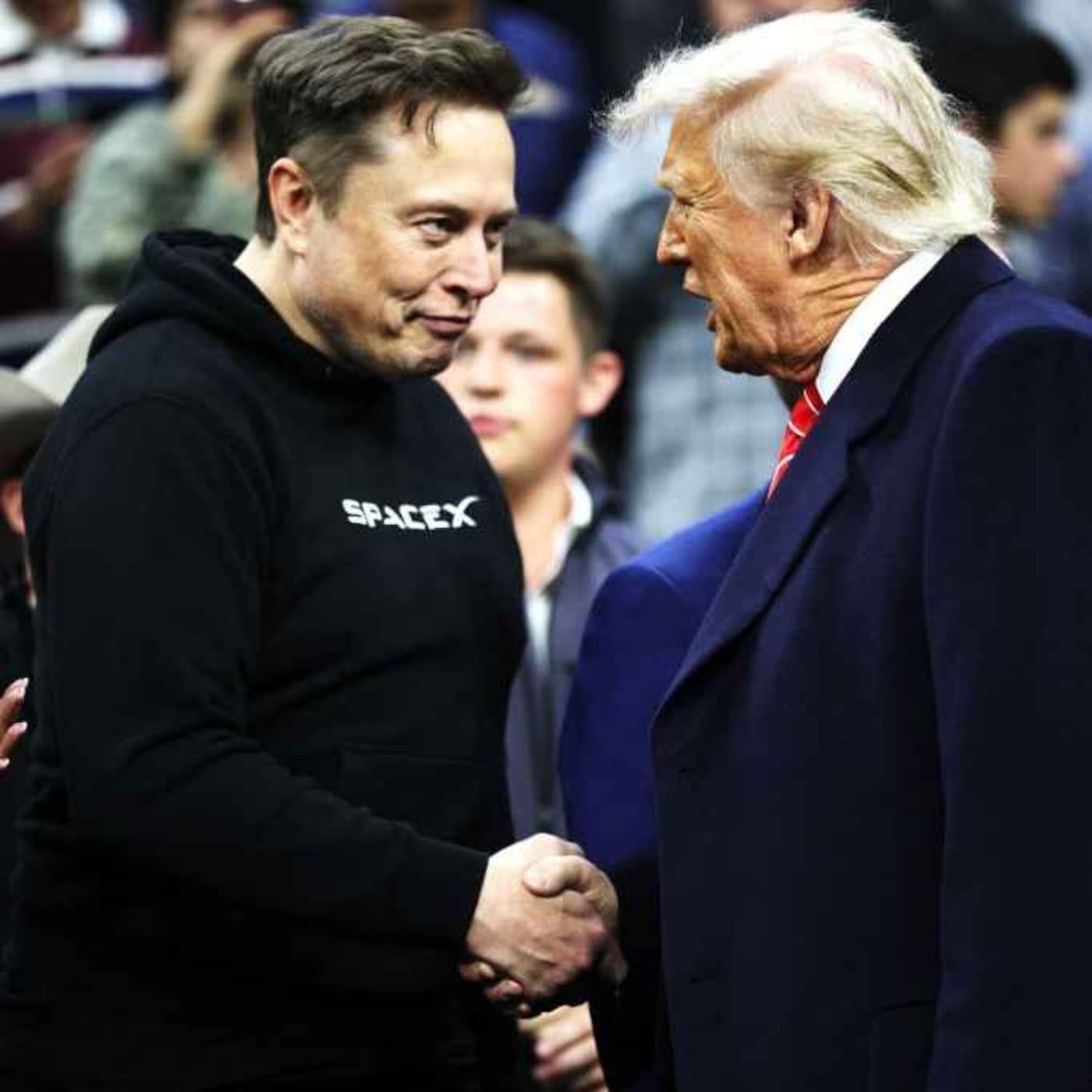 Trump v Musk: who won? artwork
