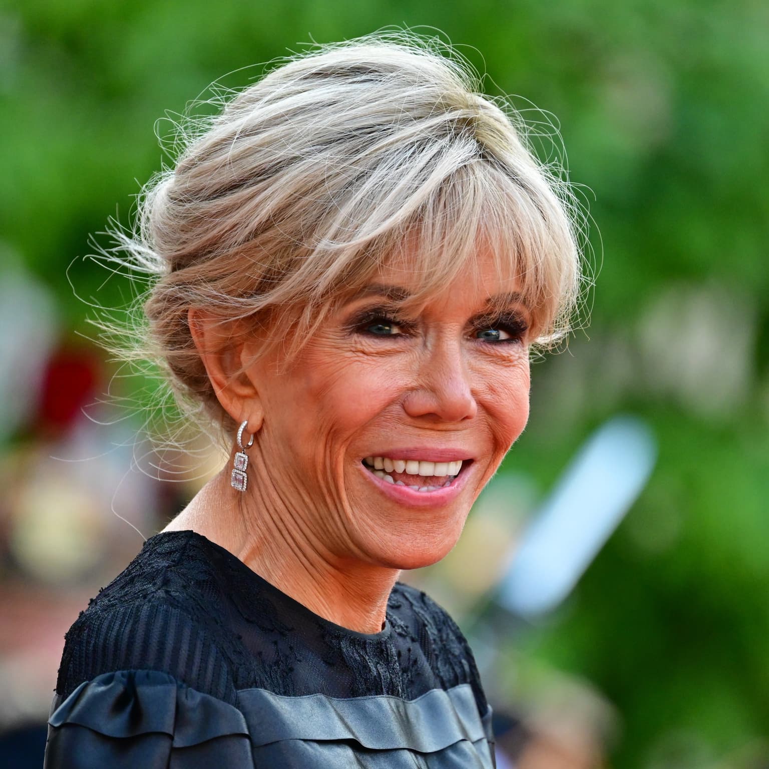 Brigitte Macron vs the conspiracy theorists artwork