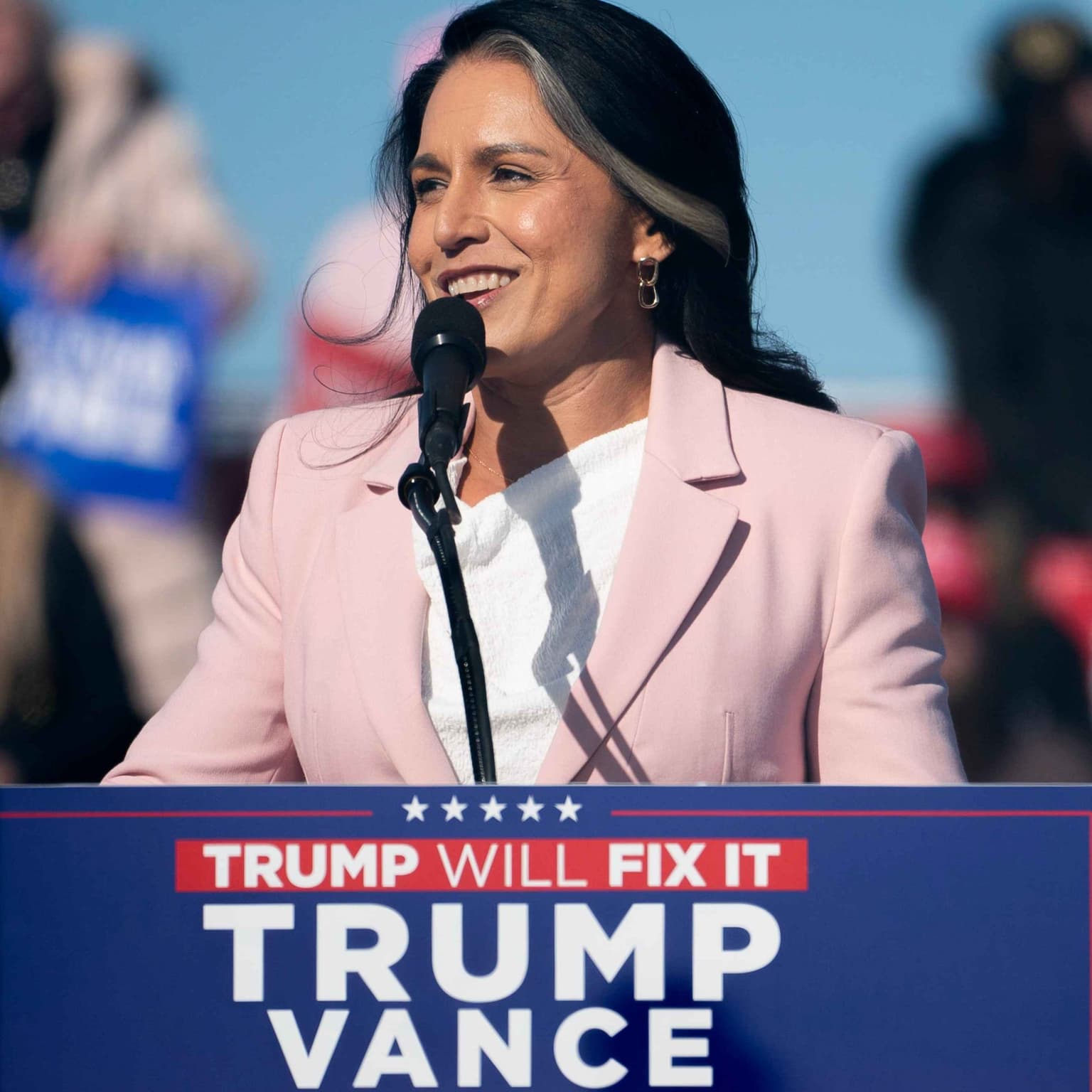 Tulsi Gabbard, Donald Trump and the spying game artwork