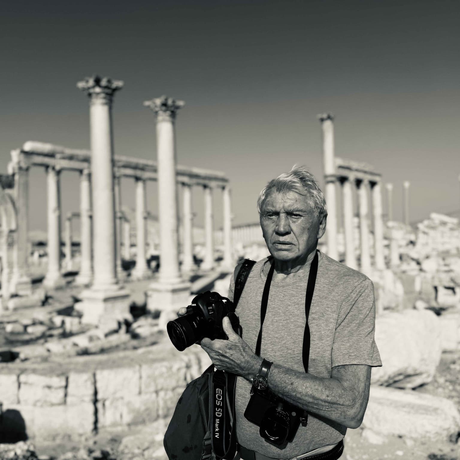 Palmyra: Syria's past, present and future artwork