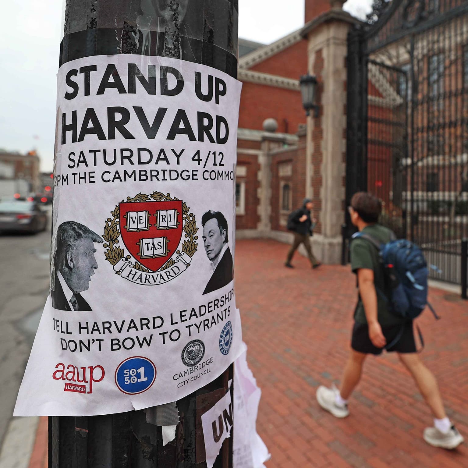 Harvard v Trump artwork