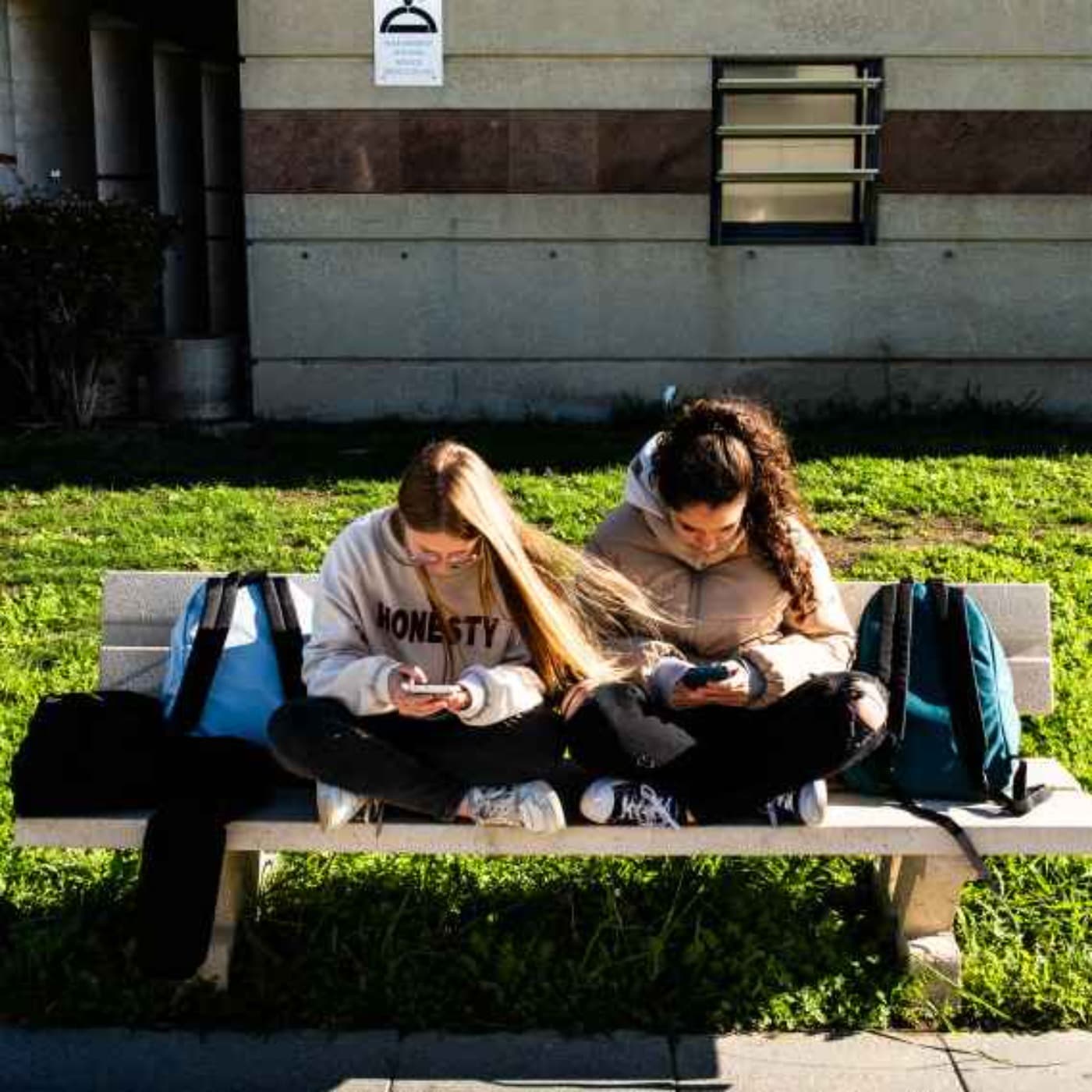 The Sunday Edition: 'Rewilding' the smartphone generation, one school's story artwork