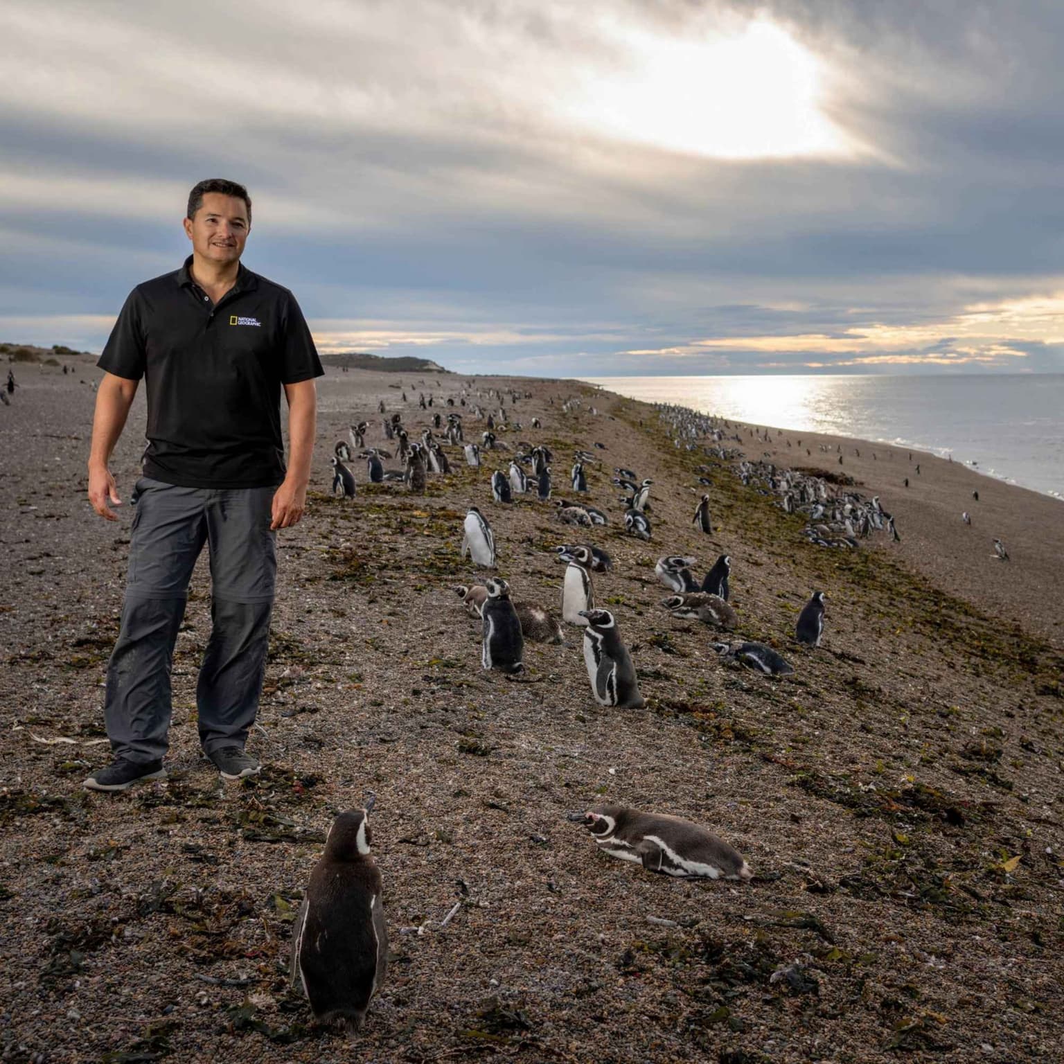 The Story presents: Planet Hope - the penguin guardian of Patagonia artwork