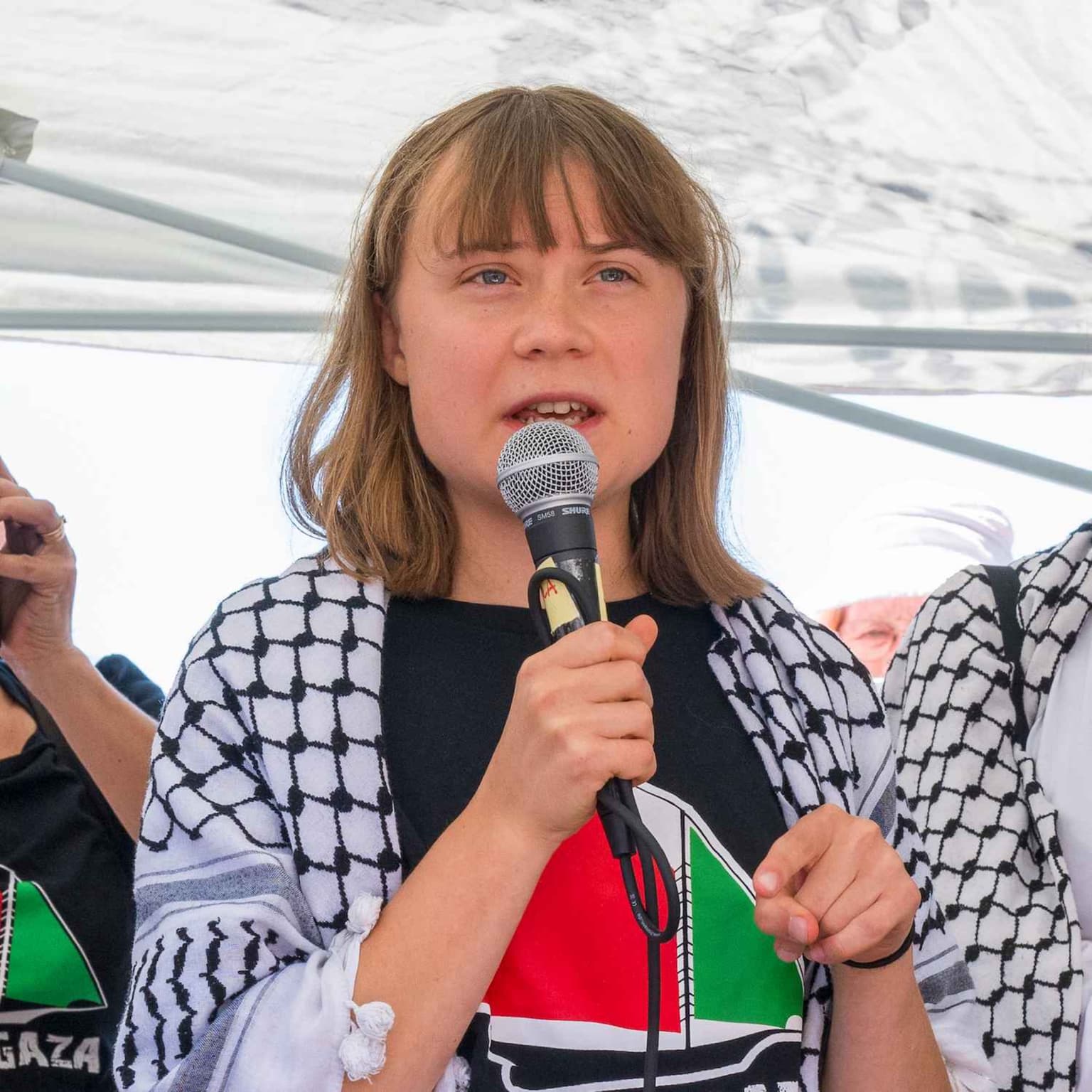 Greta’s mission to Gaza artwork