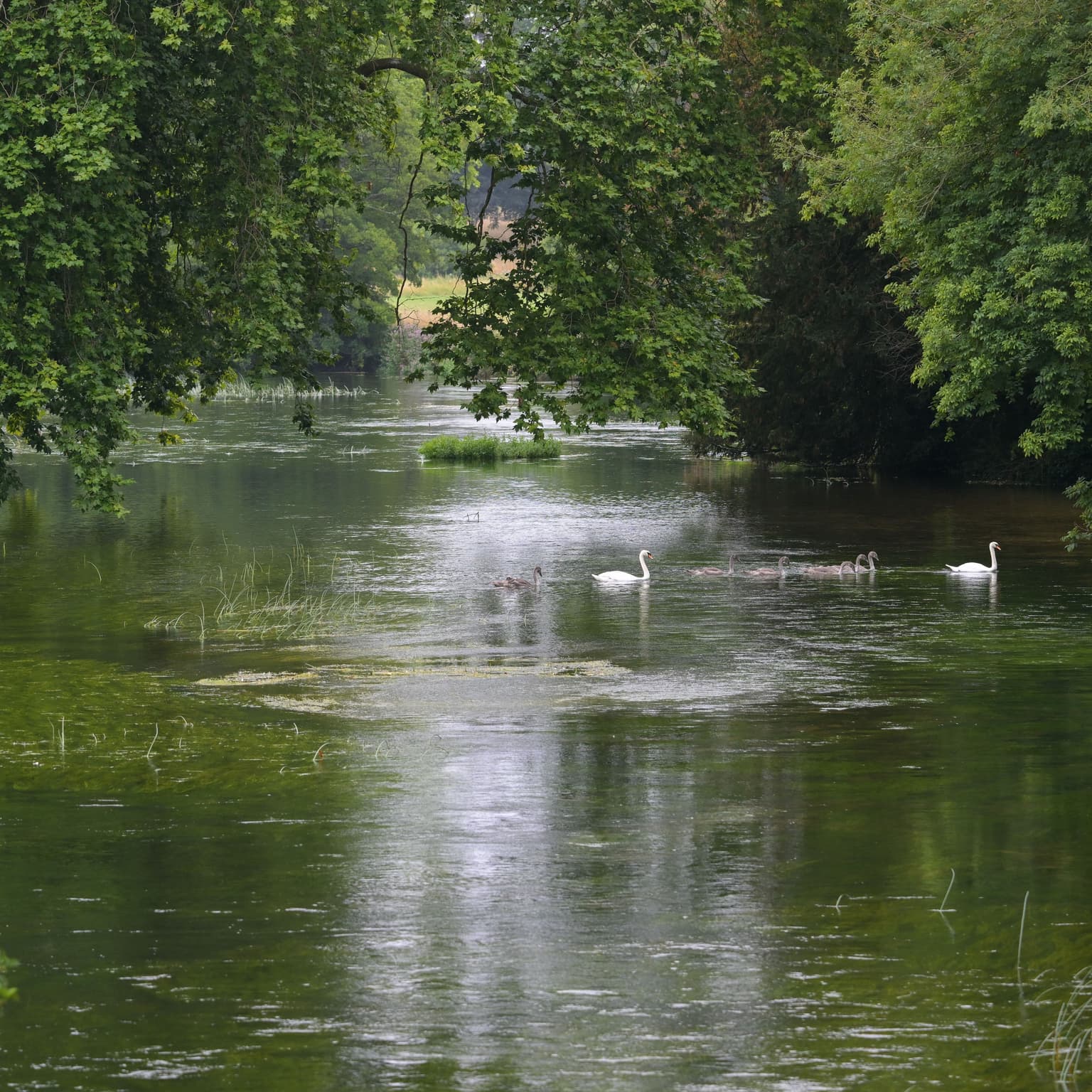 Why rivers need human rights artwork