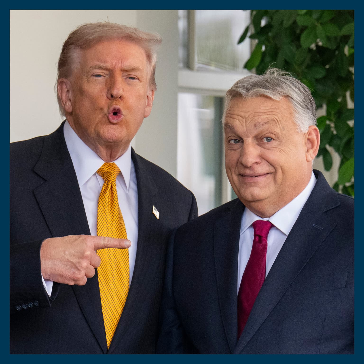 Did Trump lose Viktor Orban his election? artwork