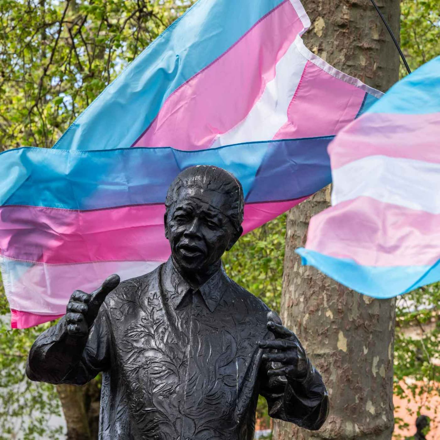 Trans ruling: the fall out artwork