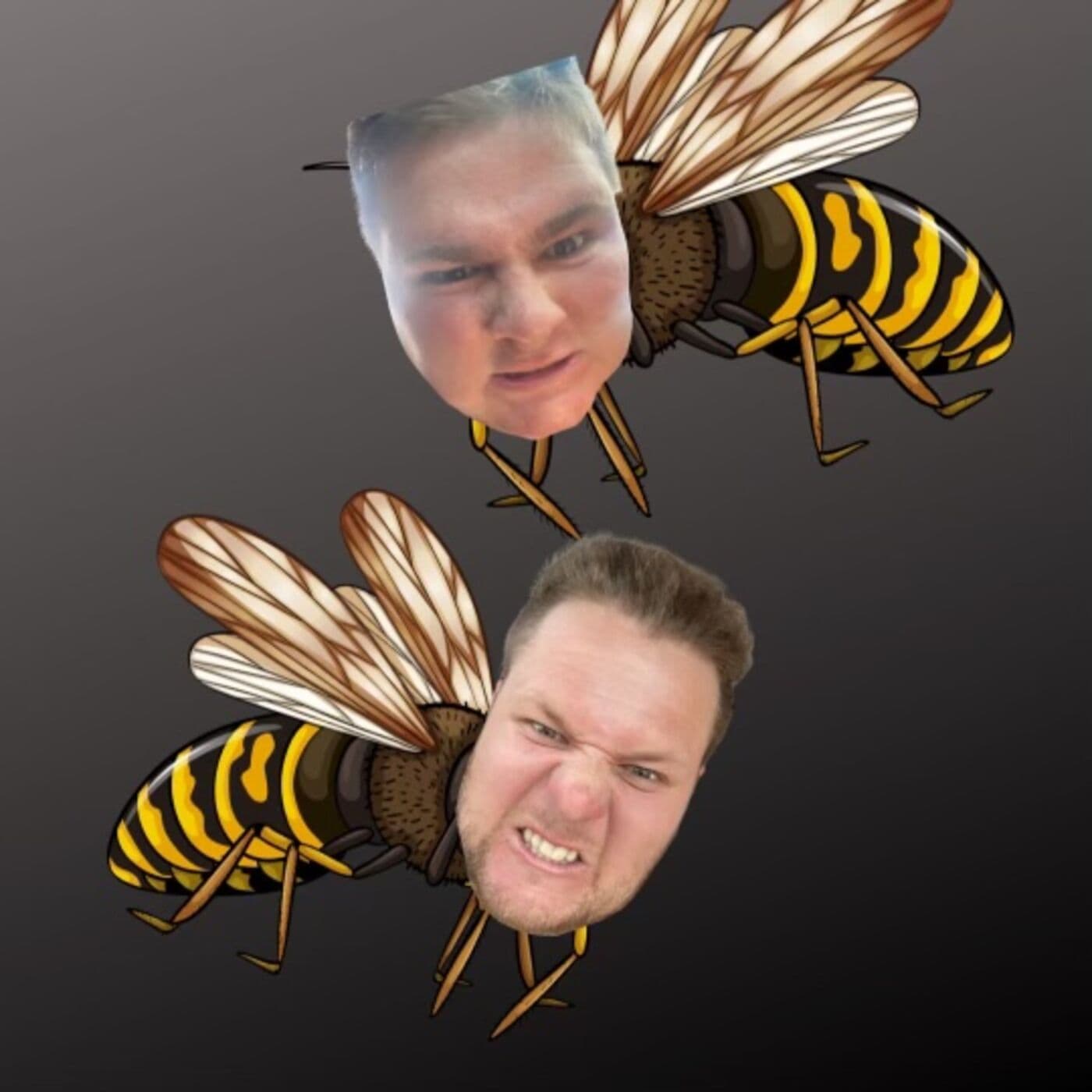 Ep.28 Gettin Waspy artwork