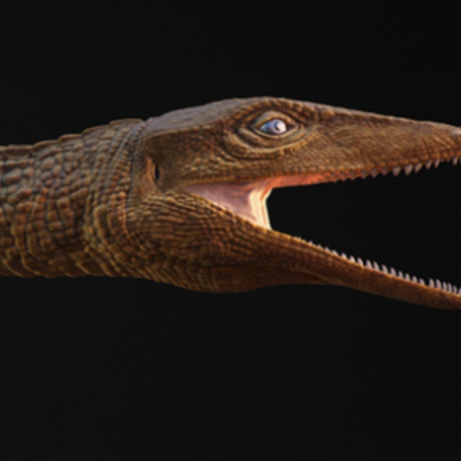 The Happy Pod: Former teacher celebrated as a crocodile artwork