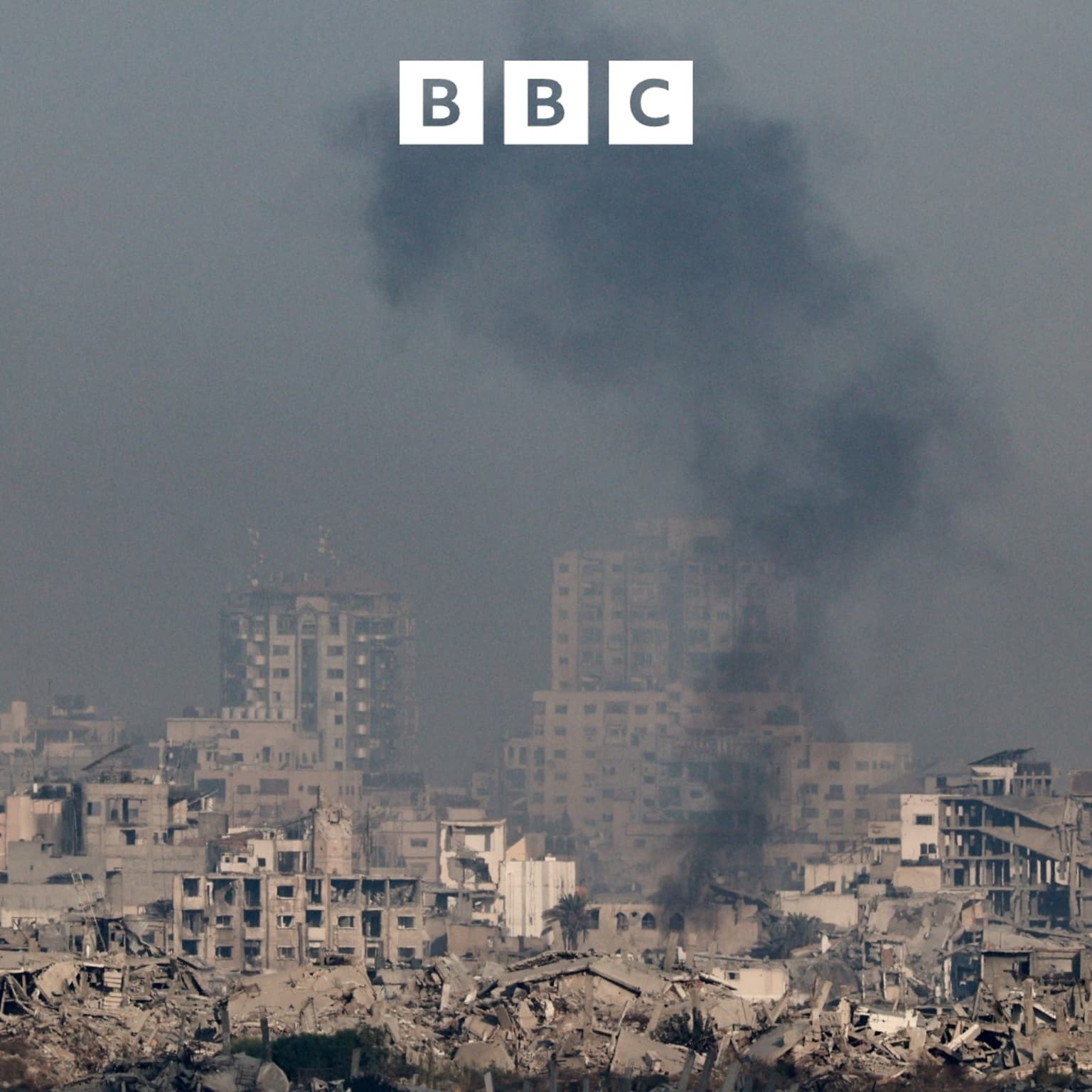 Gaza Conflict: Two years on artwork