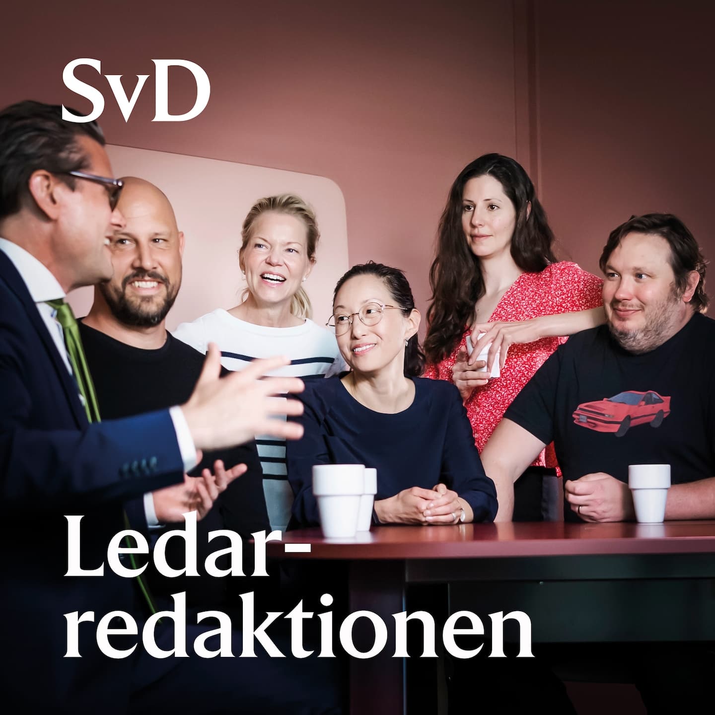 Lena Andersson om Tidö, kön och samtid artwork