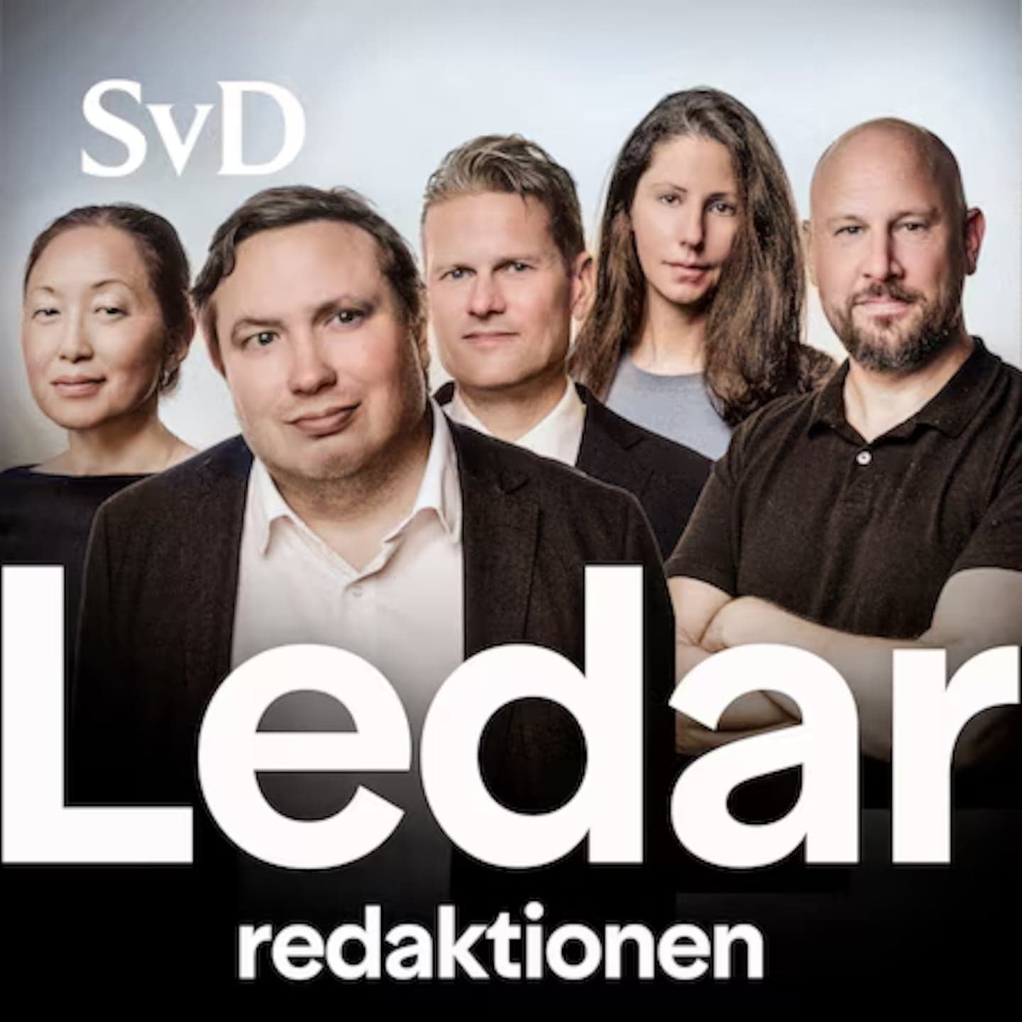 Hur mår yttrandefriheten i Sverige? artwork