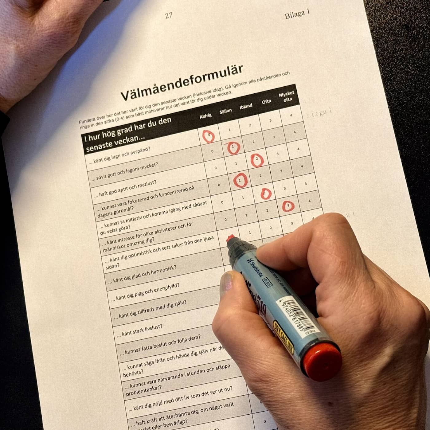 Psykisk ohälsa – ett urvattnat begrepp? artwork