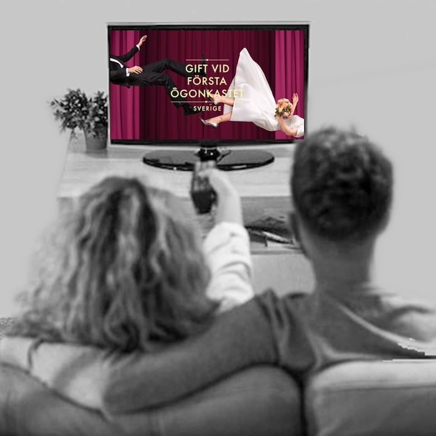 Dejta i TV artwork