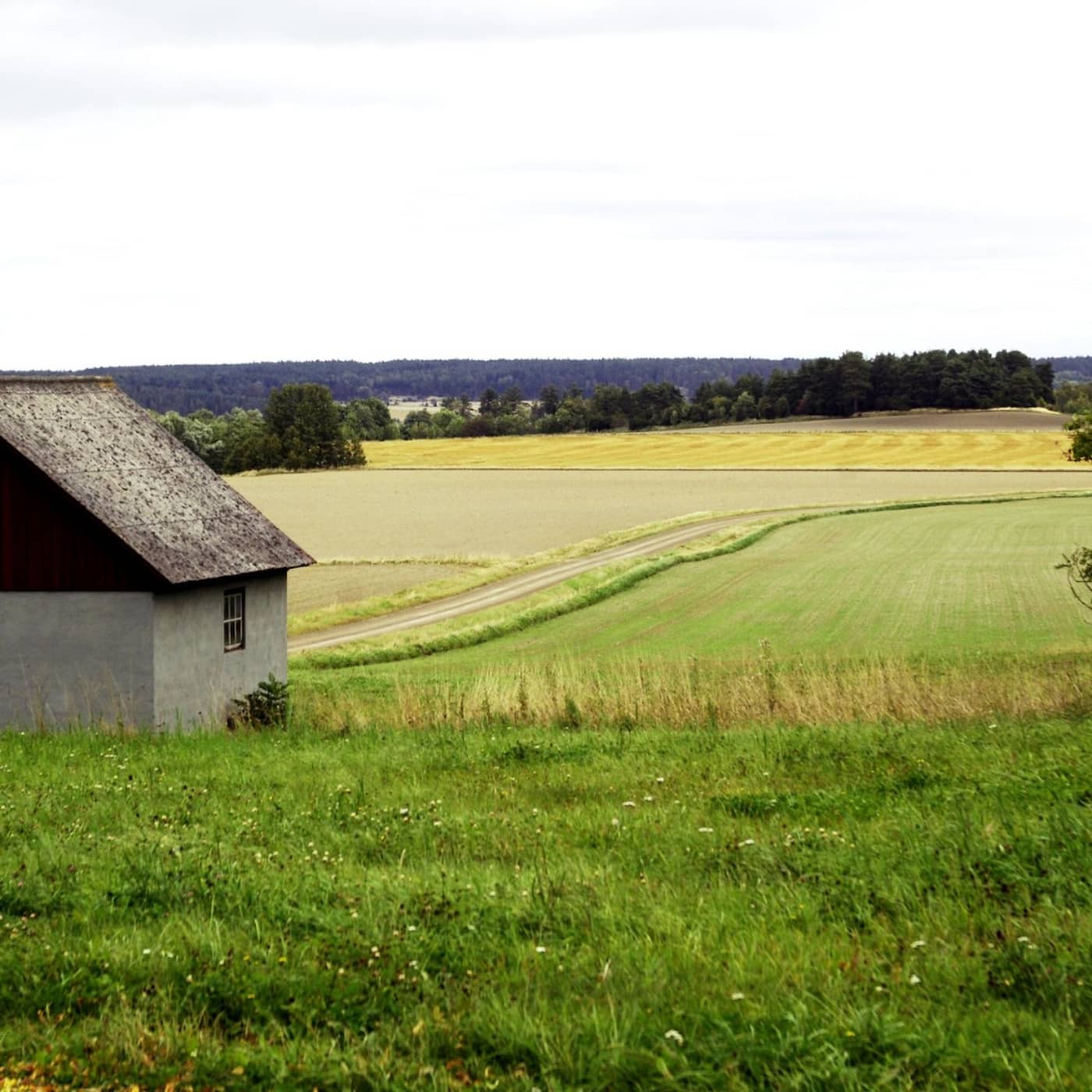 Stadsliv? Nej tack! artwork