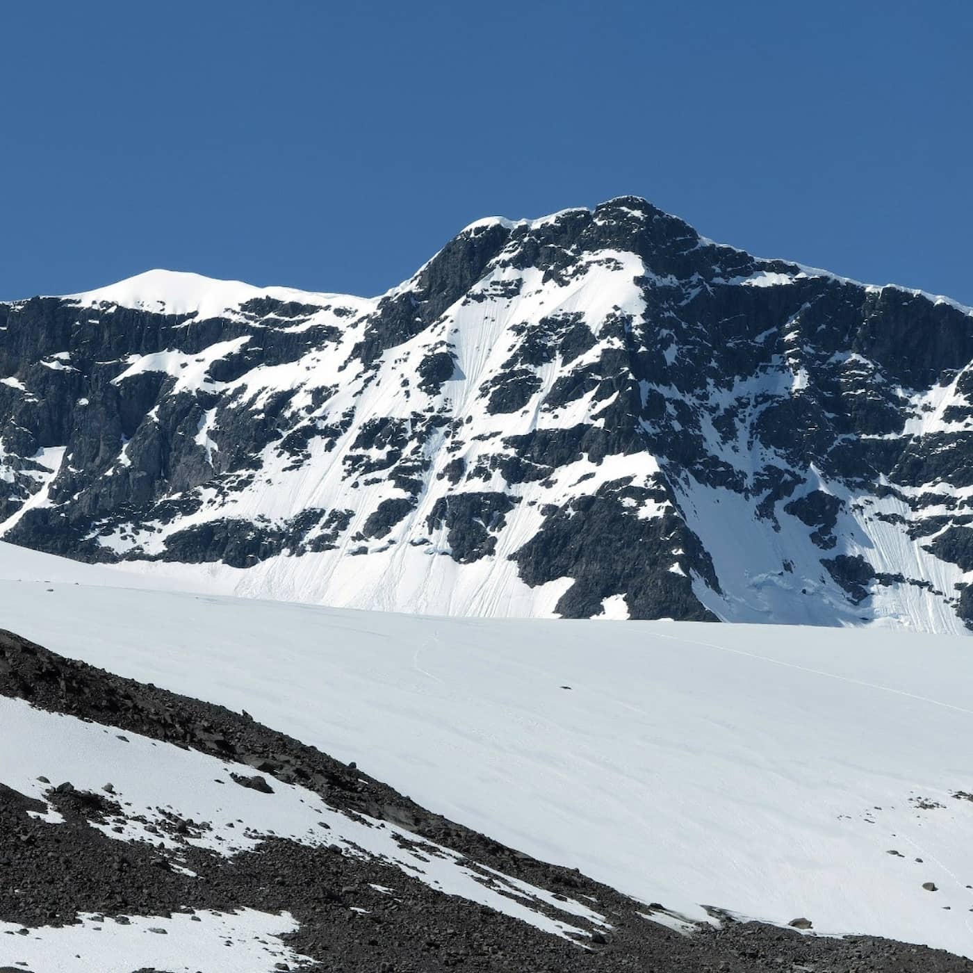 Resiliens – hur mycket stryk tål du? artwork