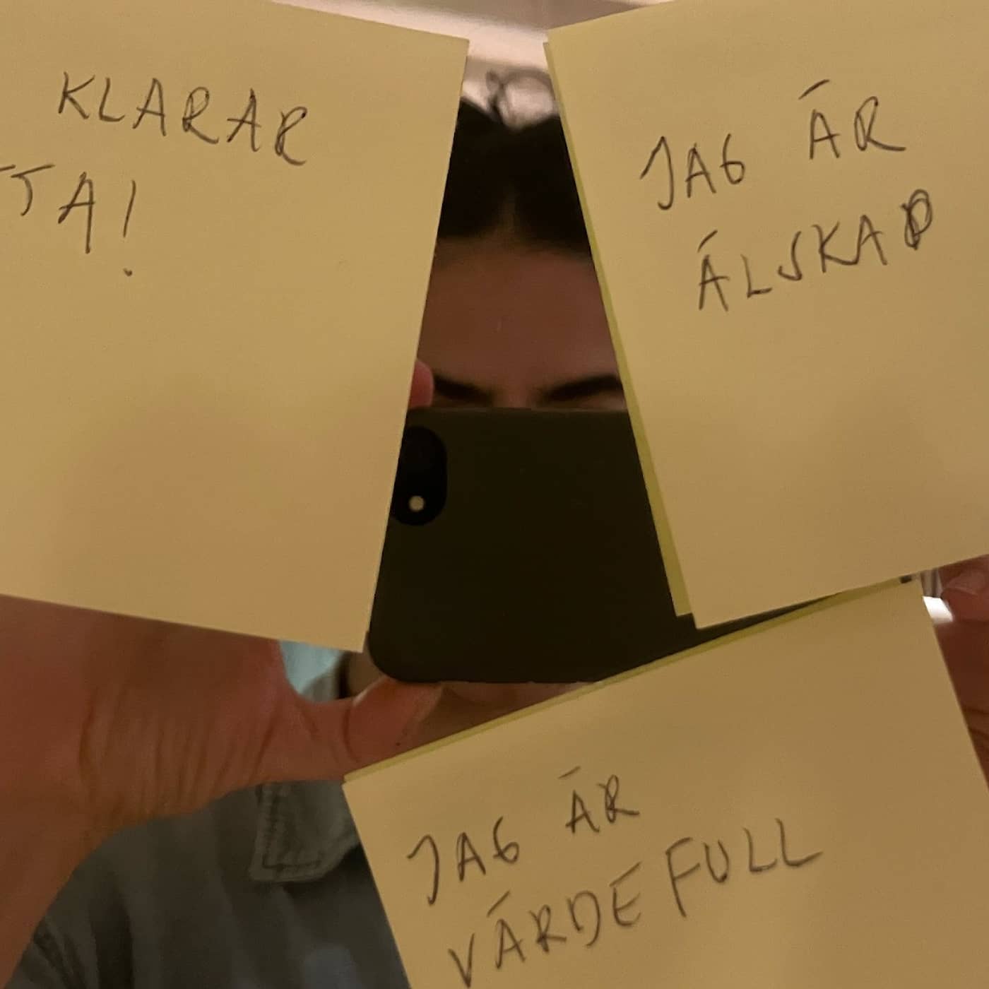 REPRIS: Hjälp dig själv – men hur? artwork