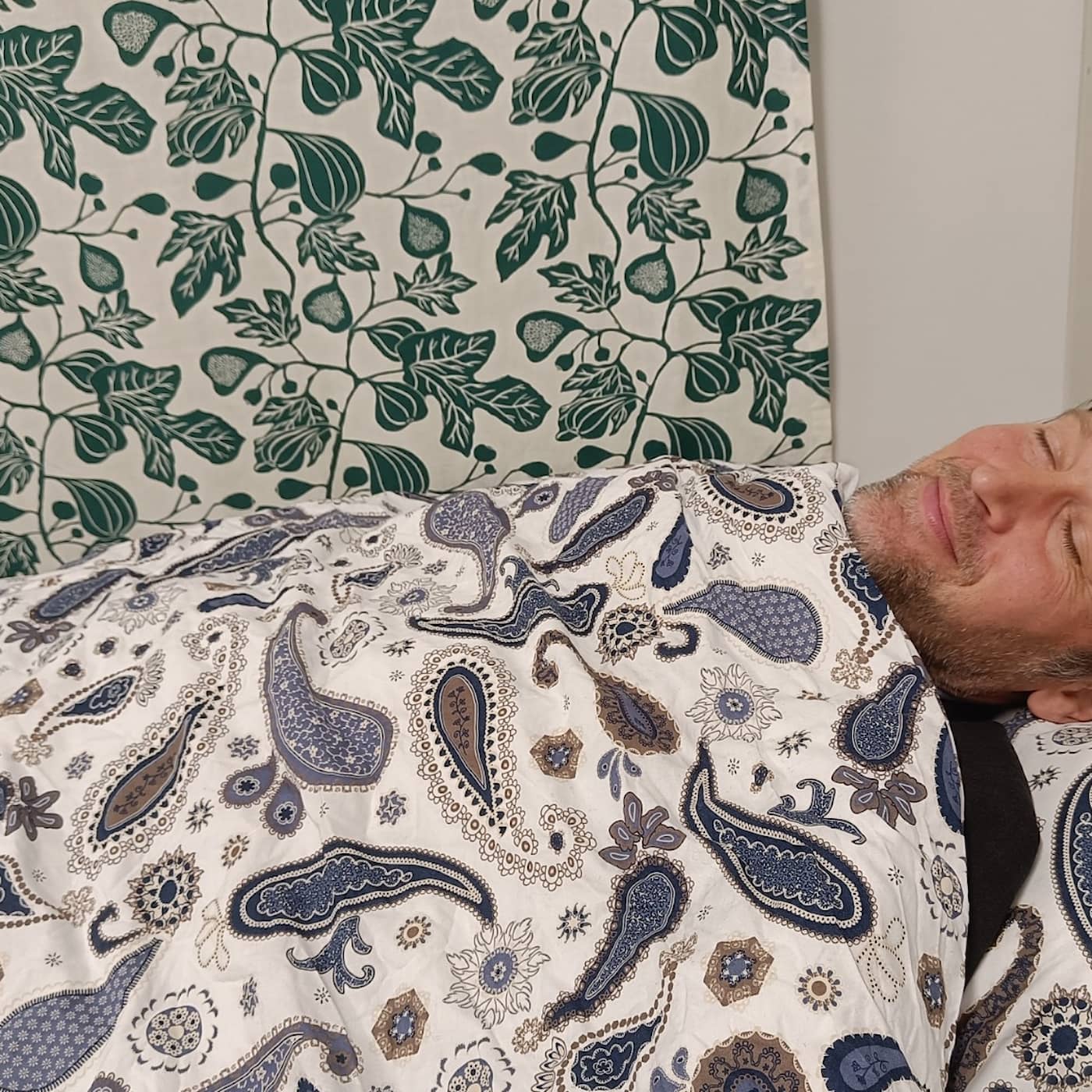 Den djupaste sömnen artwork