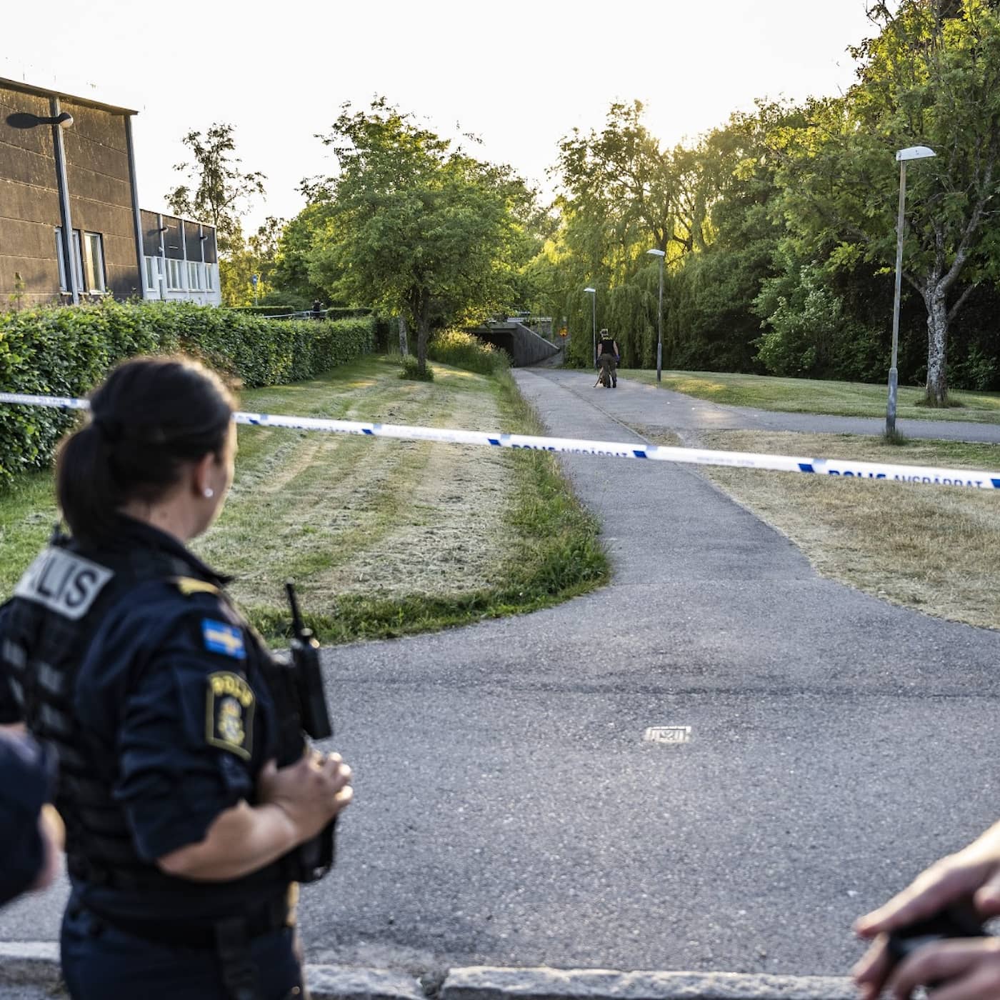 Först på plats – tre pensionärer räddade 10-åriga Kenly artwork
