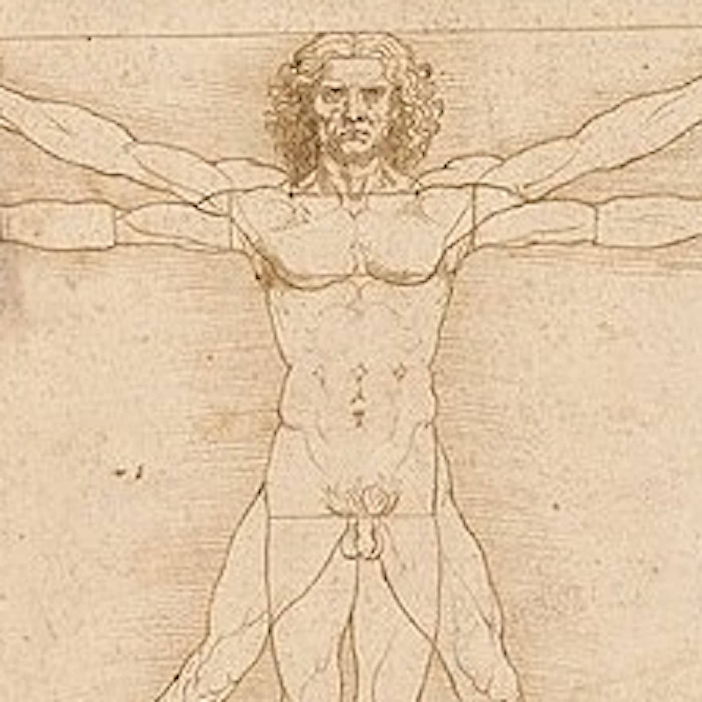 Kroppens hemliga system artwork