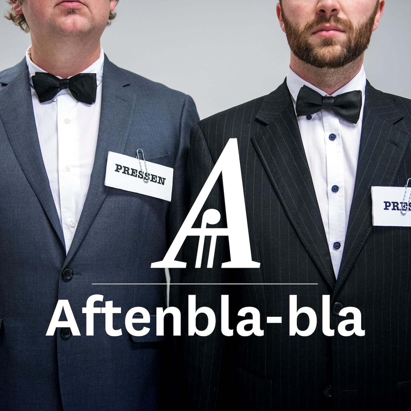 Alle er idioter, tillit og tilgivelse i politikken og to fortellinger om sterilisering artwork