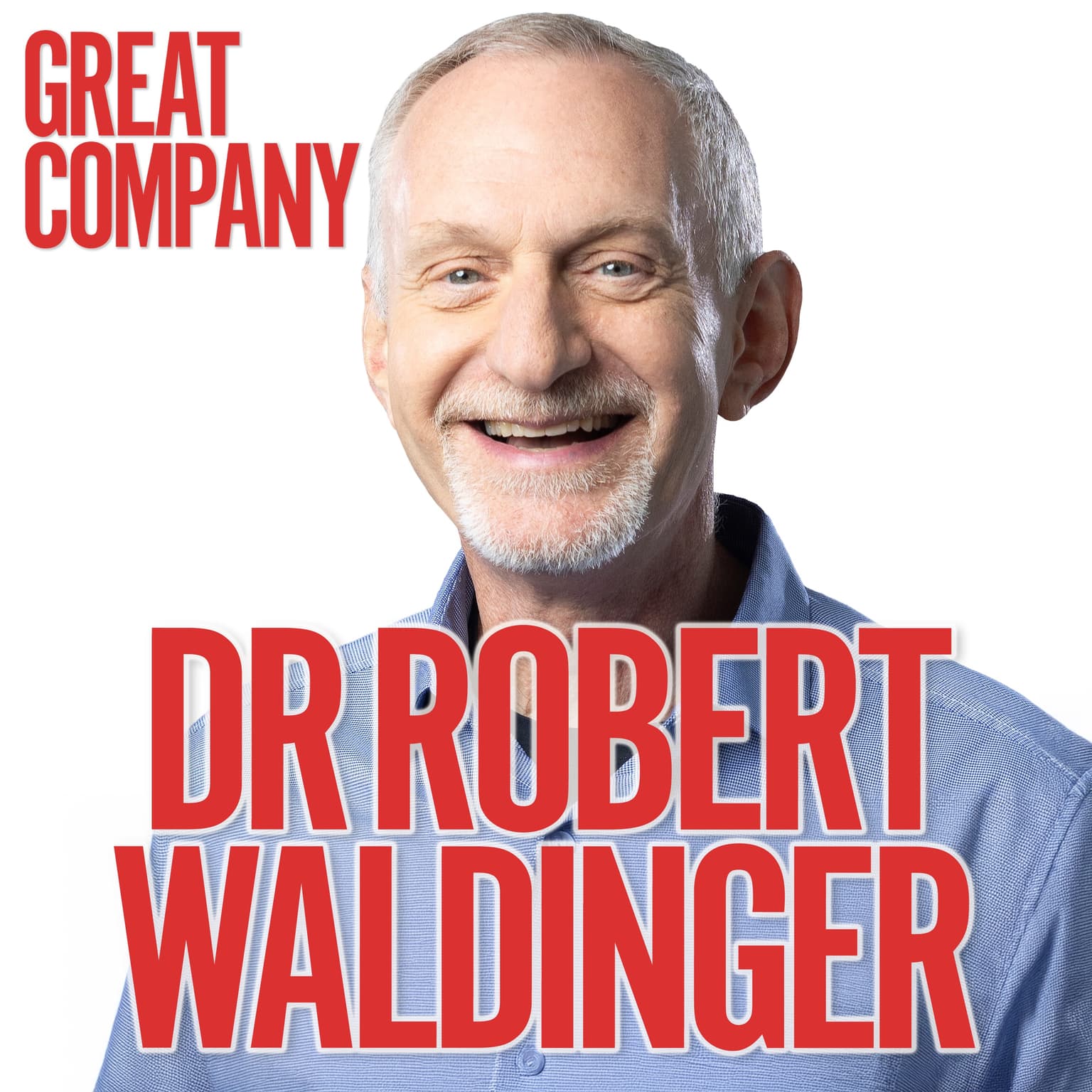 DR ROBERT WALDINGER: This Is How You Make 2026 The Happiest Year of Your Life artwork