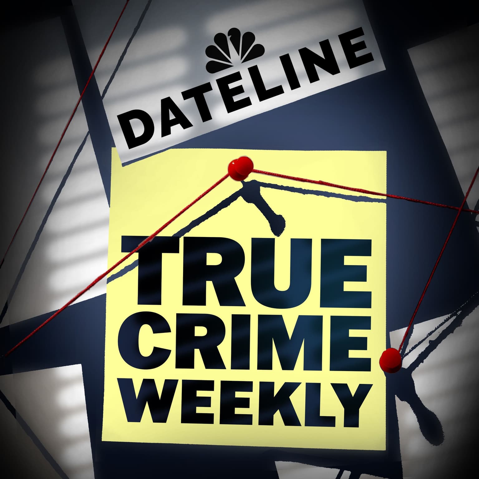 Tech mogul's alleged killer takes the stand. Dentist's murder trial set to begin. Plus safety tips for holiday travel. artwork