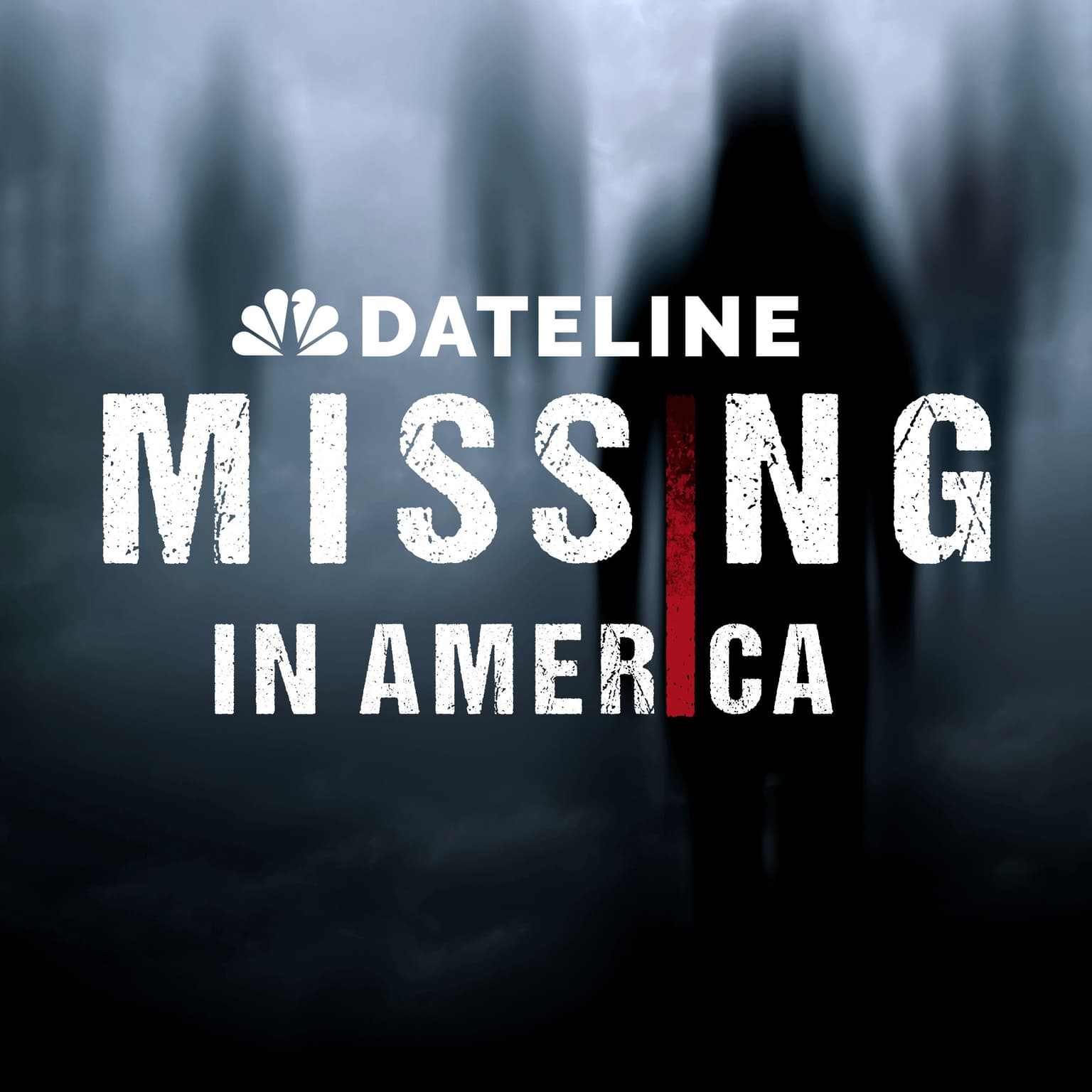 What Happened to Nancy Snow? Preview Dateline: Missing in America Season 4 artwork