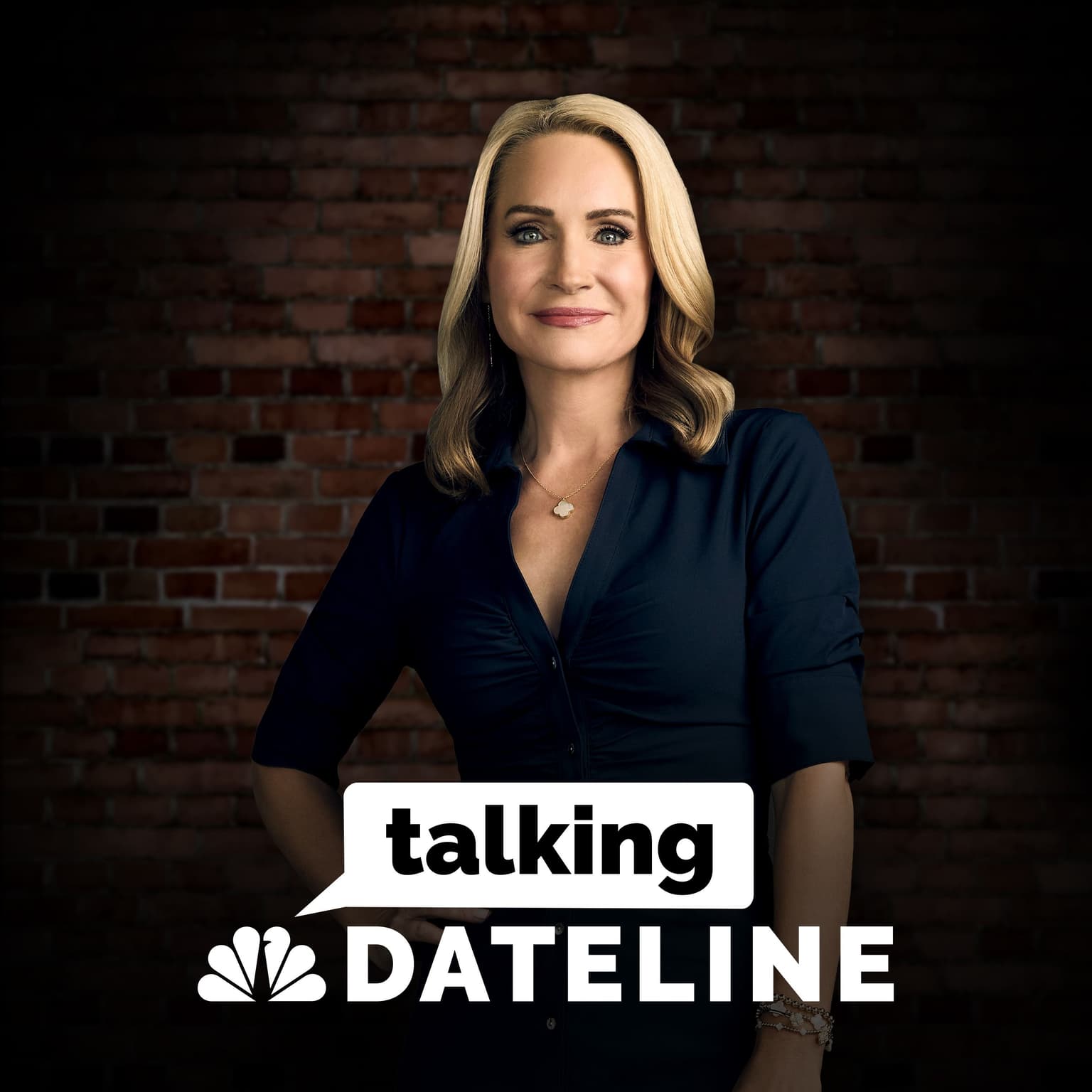 Talking Dateline: In the Matter of Alex Murdaugh artwork