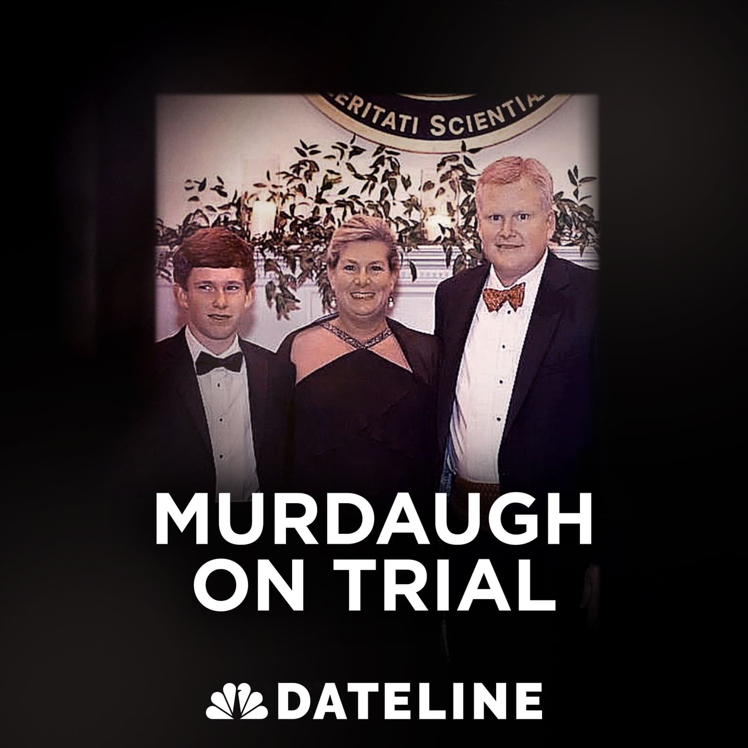 Murdaugh on Trial: The Prosecution Rests artwork