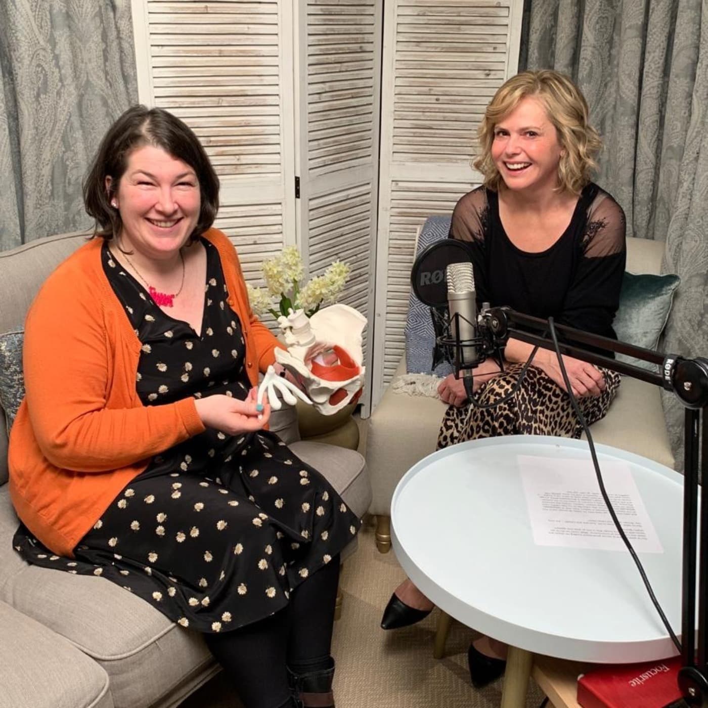 Incontinence, menopause and pregnancy with Elaine Miller (aka Gusset Grippers) artwork