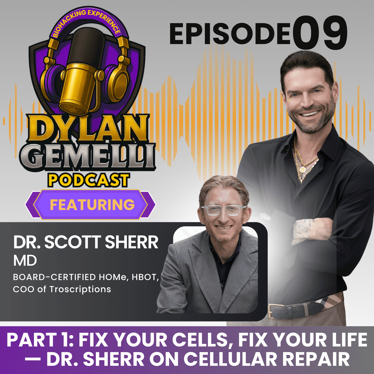 Episode #9 Featuring Dr. Scott Sherr PART 1! Methylene Blue, Hyperbaric Oxygen Therapy, Cellular and Mitochondrial Health, Metabolomics, Understandin... artwork