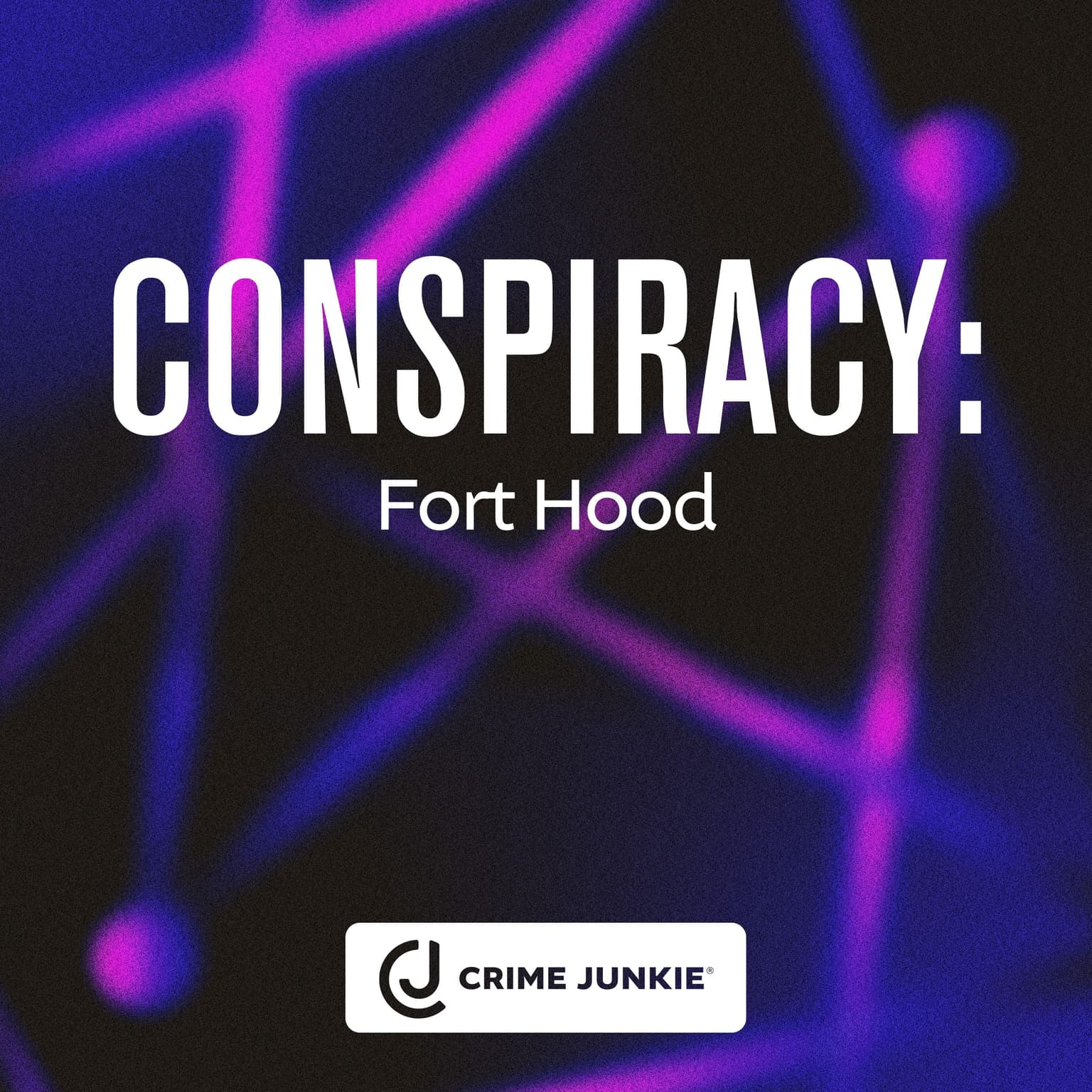 CONSPIRACY: Fort Hood artwork