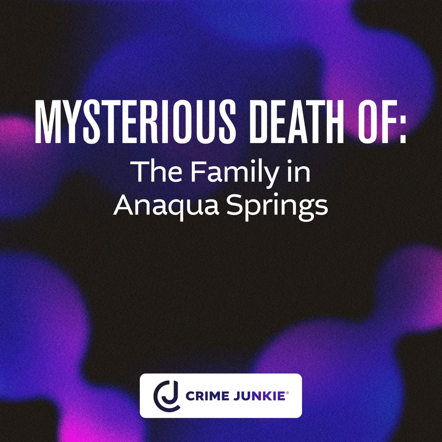 MYSTERIOUS DEATH OF: The Family in Anaqua Springs artwork