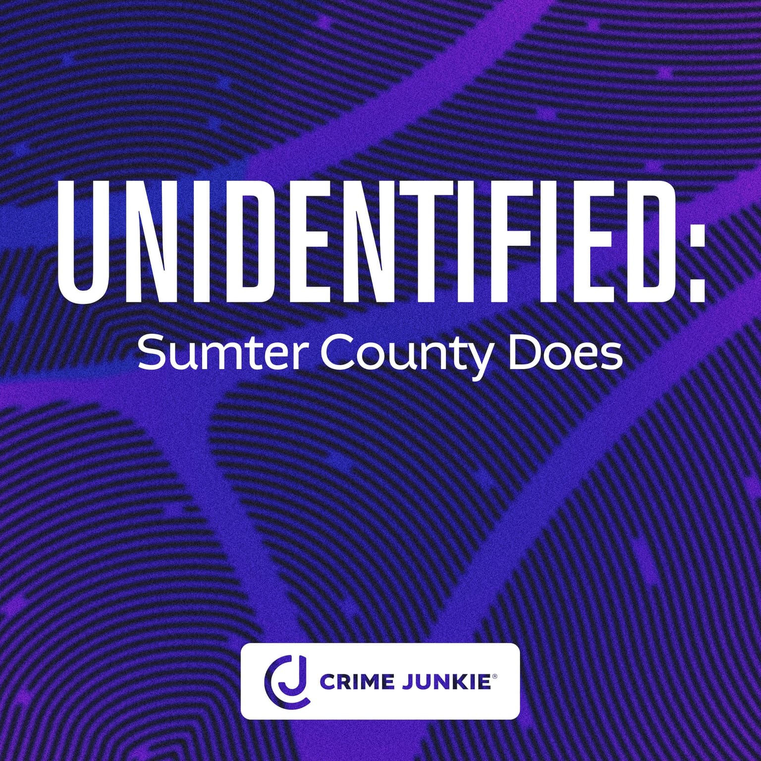 UNIDENTIFIED: Sumter County Does artwork